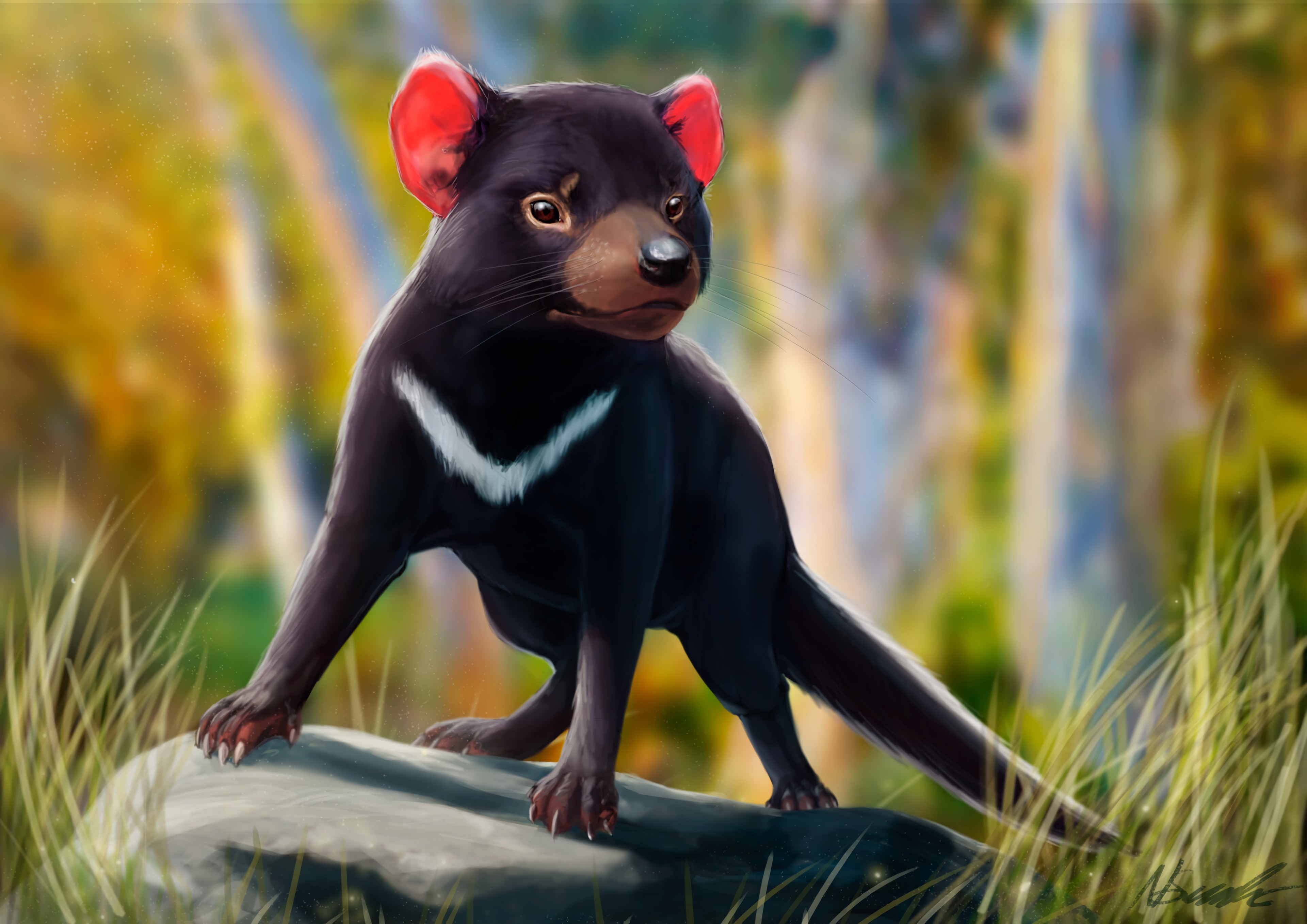 Laden Sie das Wildlife, Tasmanischer Teufel, Wilde Natur, Tier, Kunst-Bild kostenlos auf Ihren PC-Desktop herunter