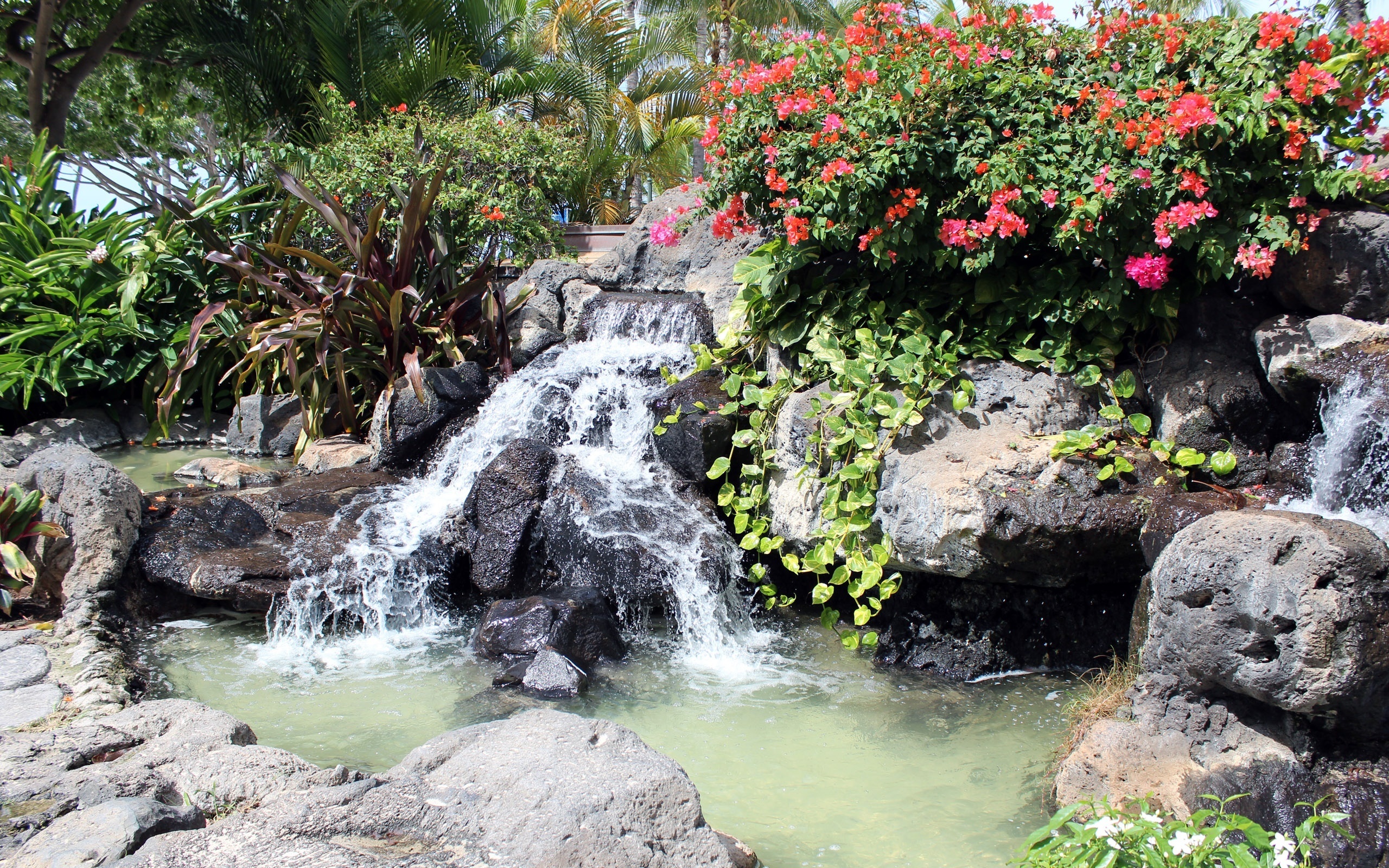 Телефон сады 8. Водопад в саду. Искусственный водопад в саду. Красивые сады с маленьким водопадом. Китайский сад с водопадом.