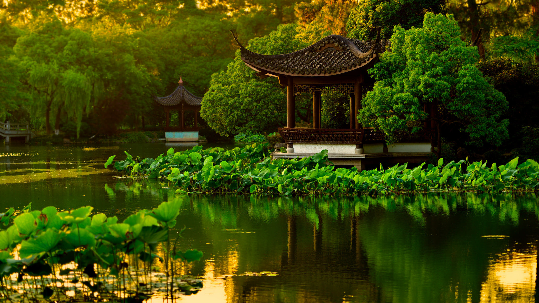 Download mobile wallpaper Water, Lotus, Reflection, Pagoda, Garden, Pond, Man Made for free.