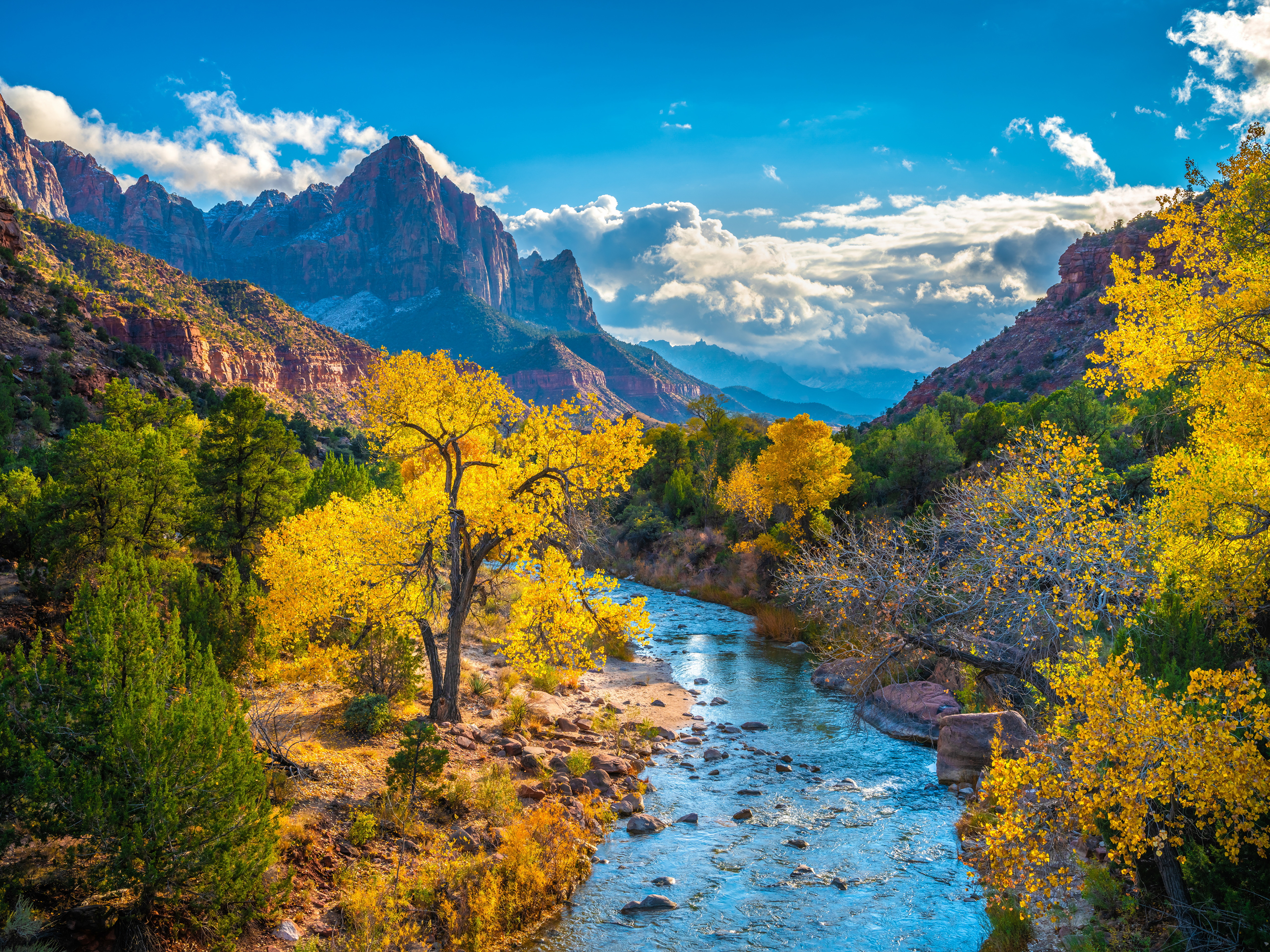 nature, earth, zion national park, river, national park 4K Ultra