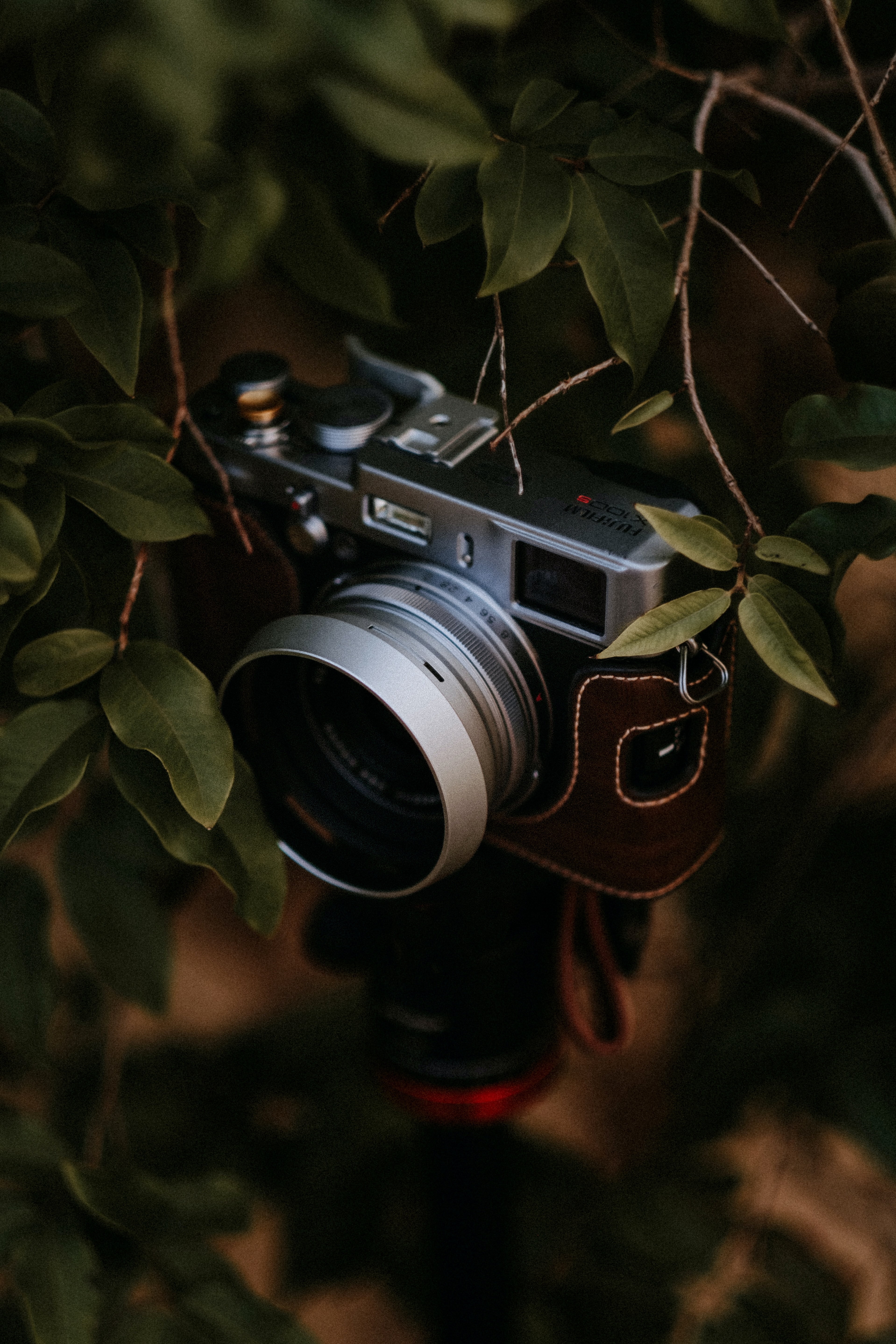 camera, technology, leaves, branch, grey, technologies High Definition image