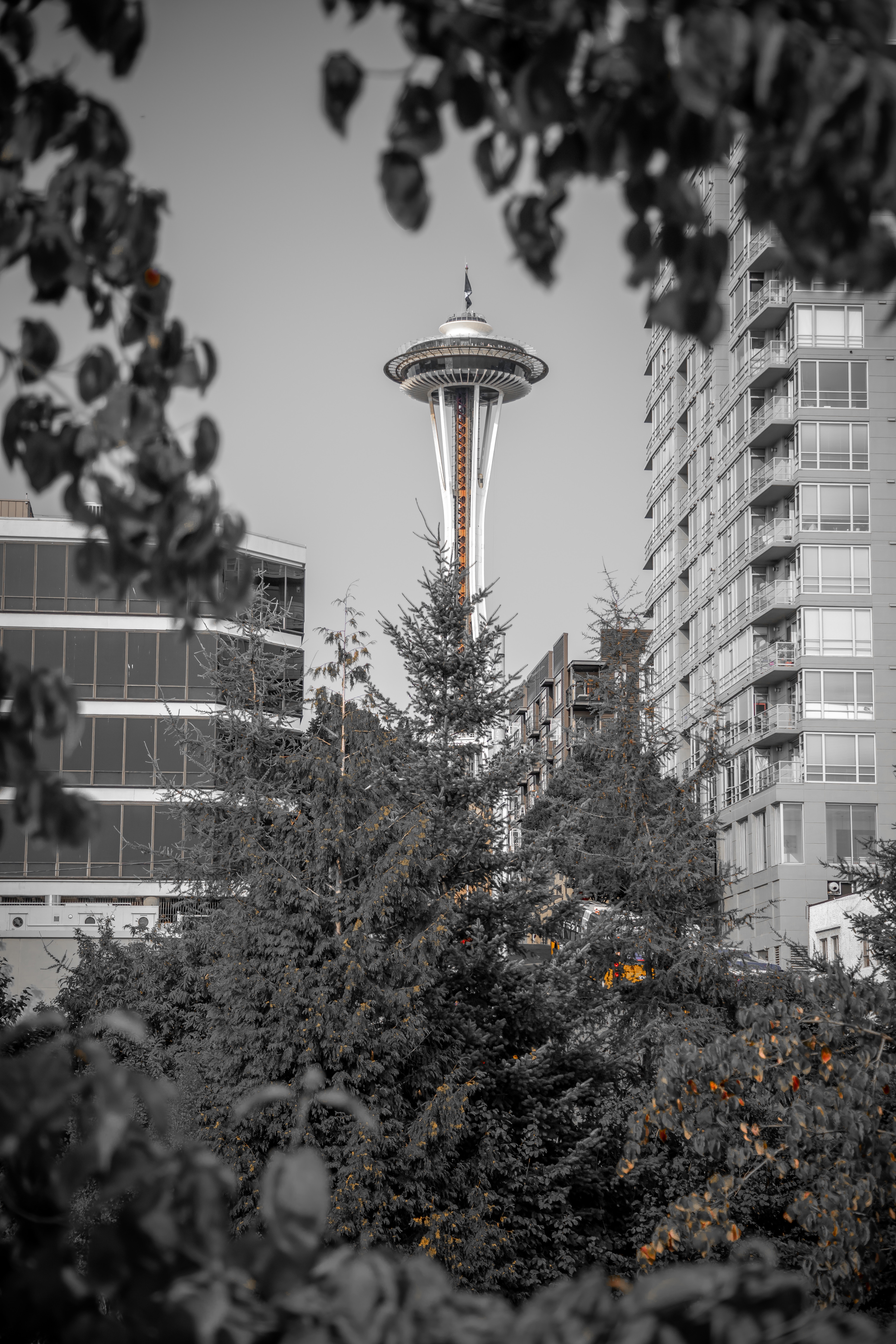 Download mobile wallpaper Cities, Branches, Seattle, Tower, Architecture, Bw, Chb, United States, Usa for free.
