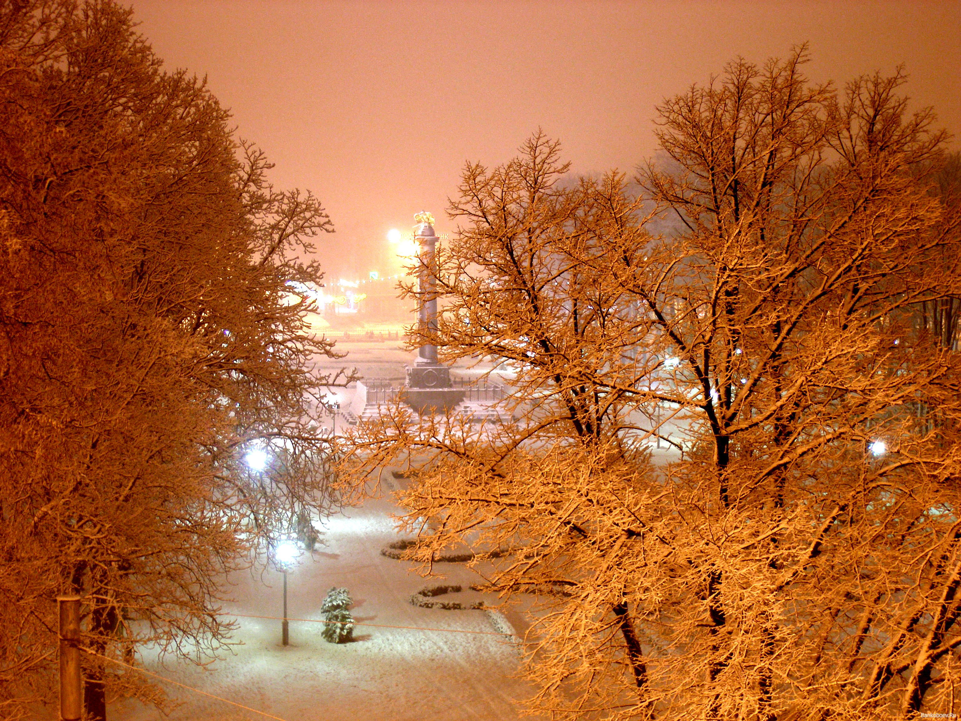 Скачать картинку Снег, Деревья, Пейзаж, Ночь, Зима в телефон бесплатно.