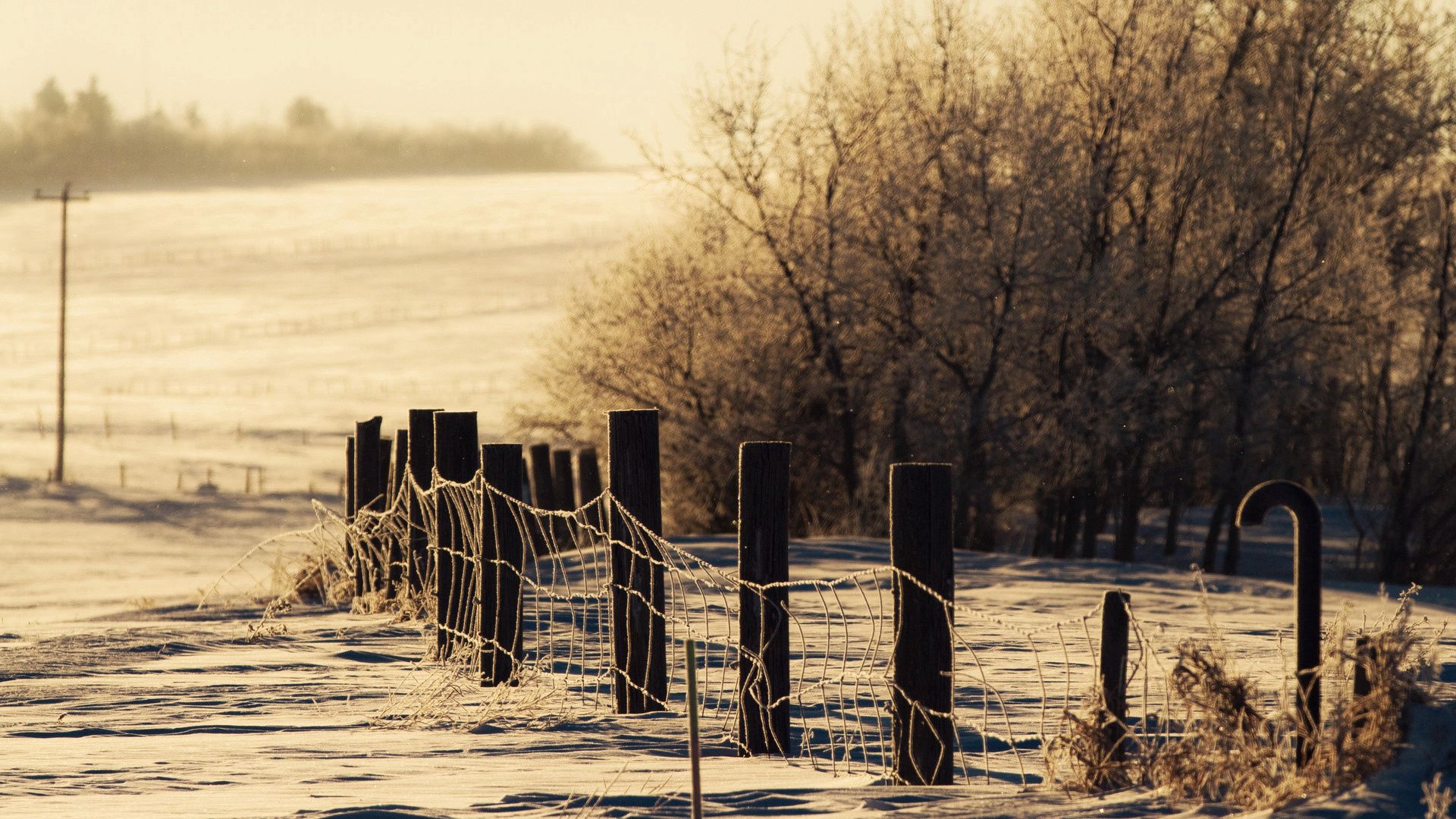 winter, nature, trees, snow, fence, drifts, fencing, enclosure, cover