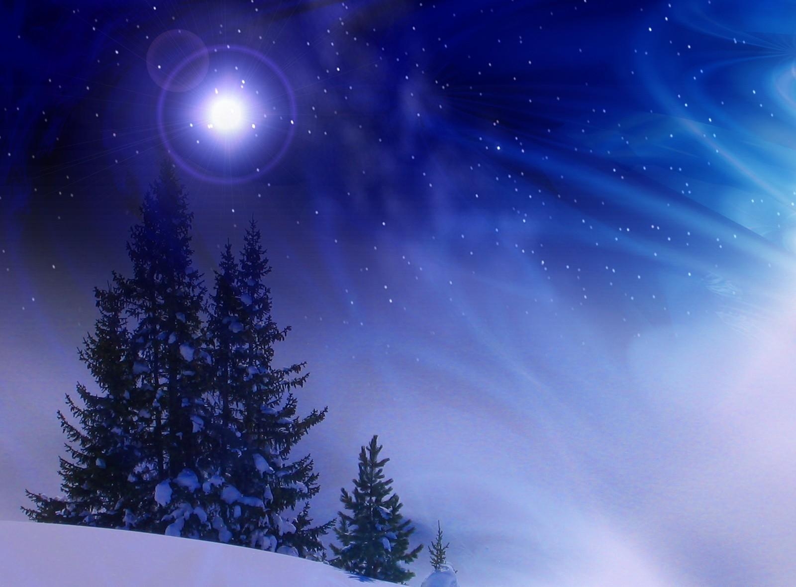 holidays, winter, snow, fir trees, snowstorm, midnight Smartphone Background