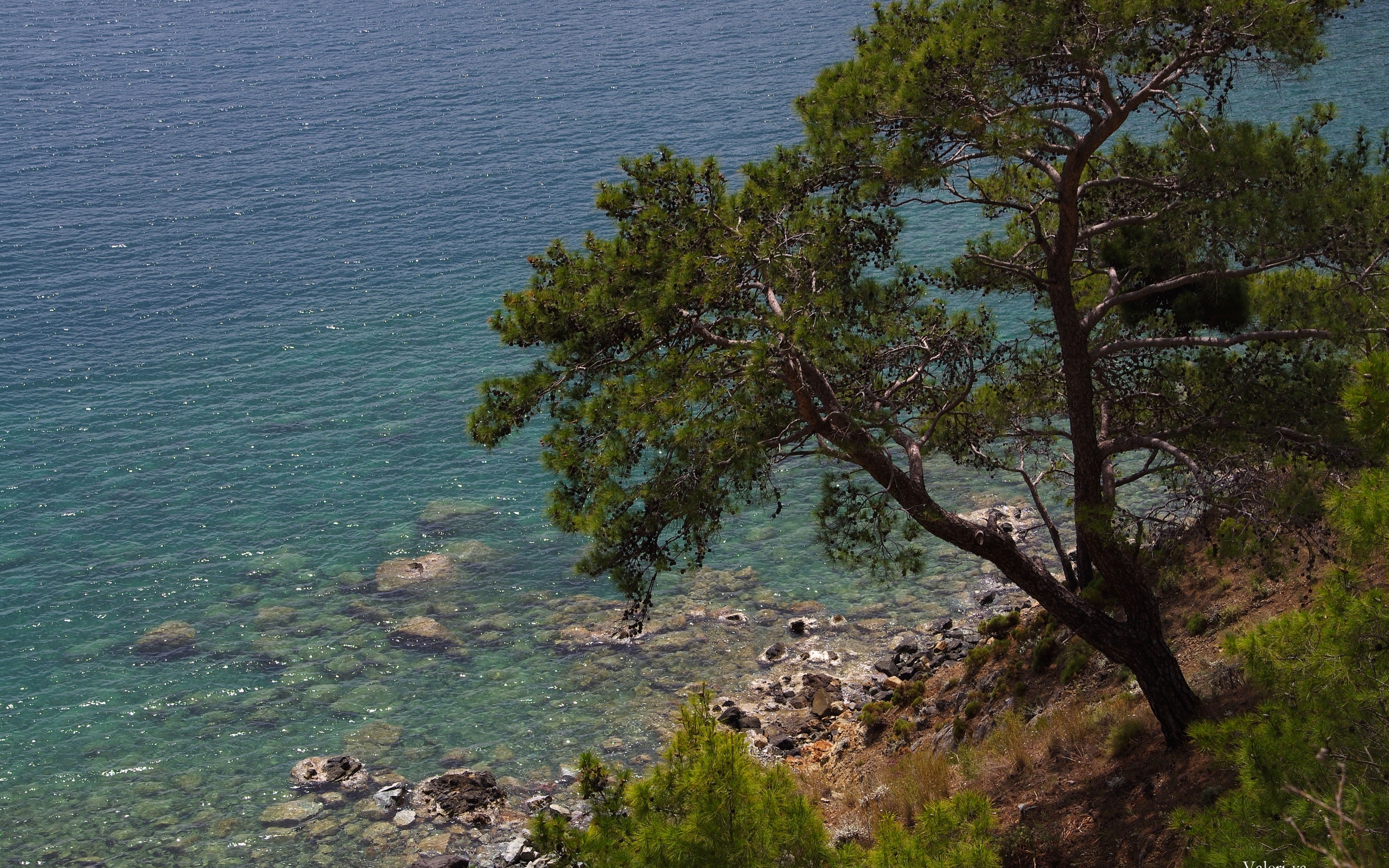 Download mobile wallpaper Trees, Sea, Landscape for free.