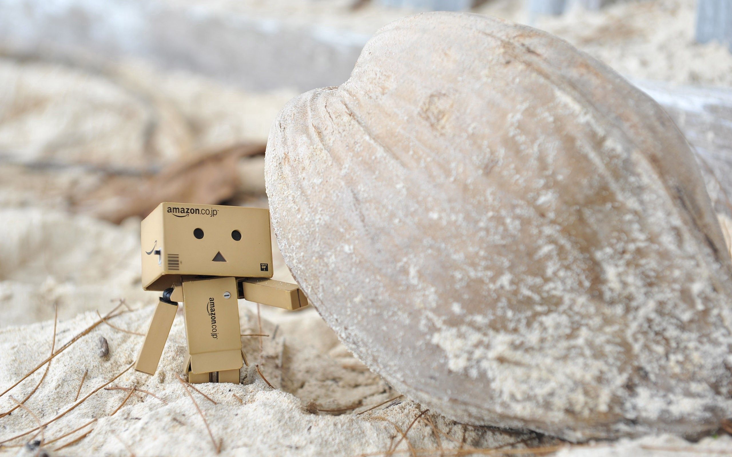 sand, rock, miscellanea, miscellaneous, stone, cardboard robot, danboard Full HD