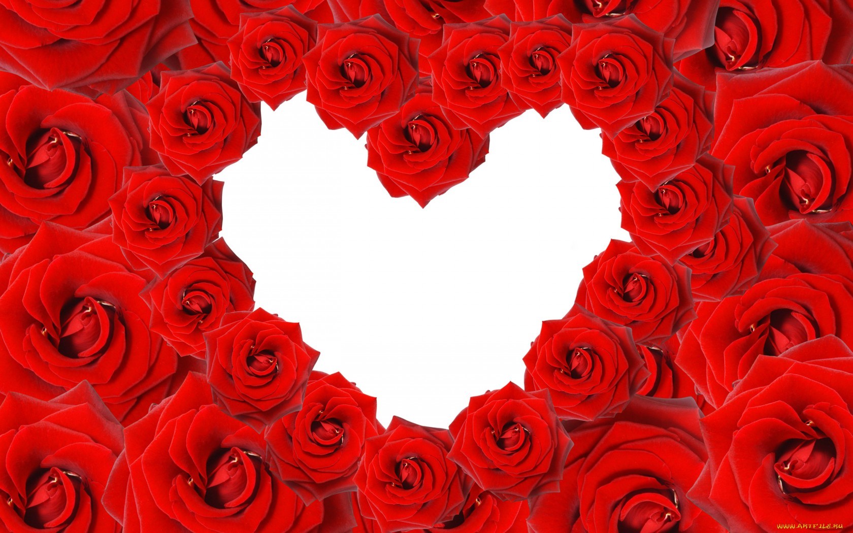 Скачати мобільні шпалери Свята, День Святого Валентина, Квіти, Серця, Фон, Рози безкоштовно.