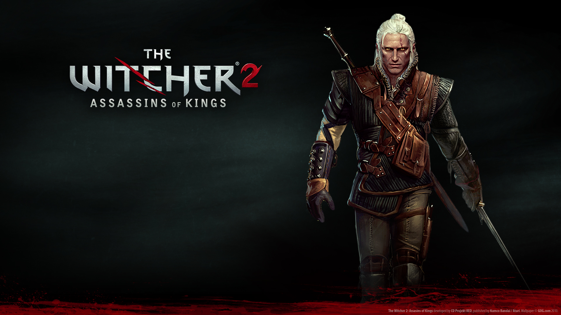 The witcher 2 assassins of kings стим фото 14