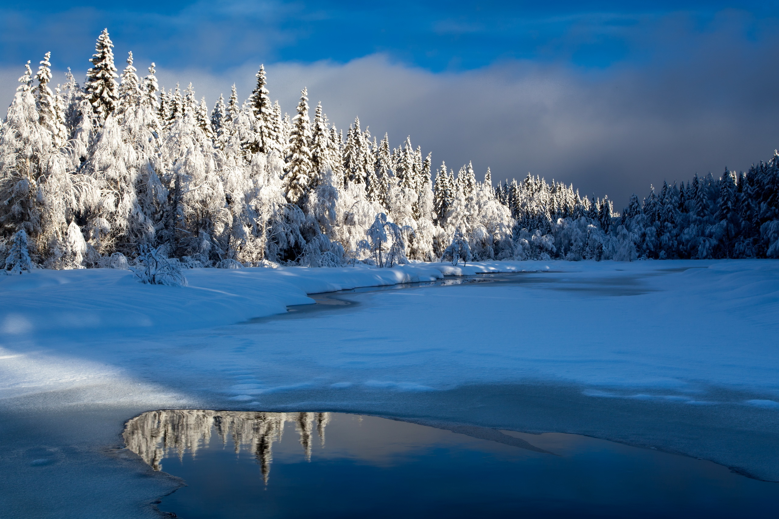 Зимний лес озеро качество