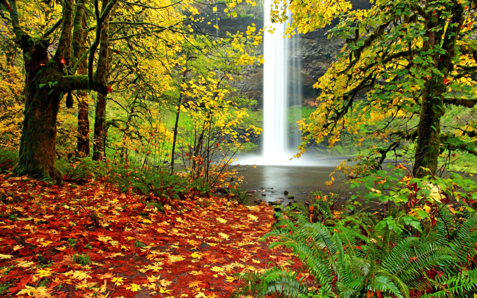 Осень листопад водопад