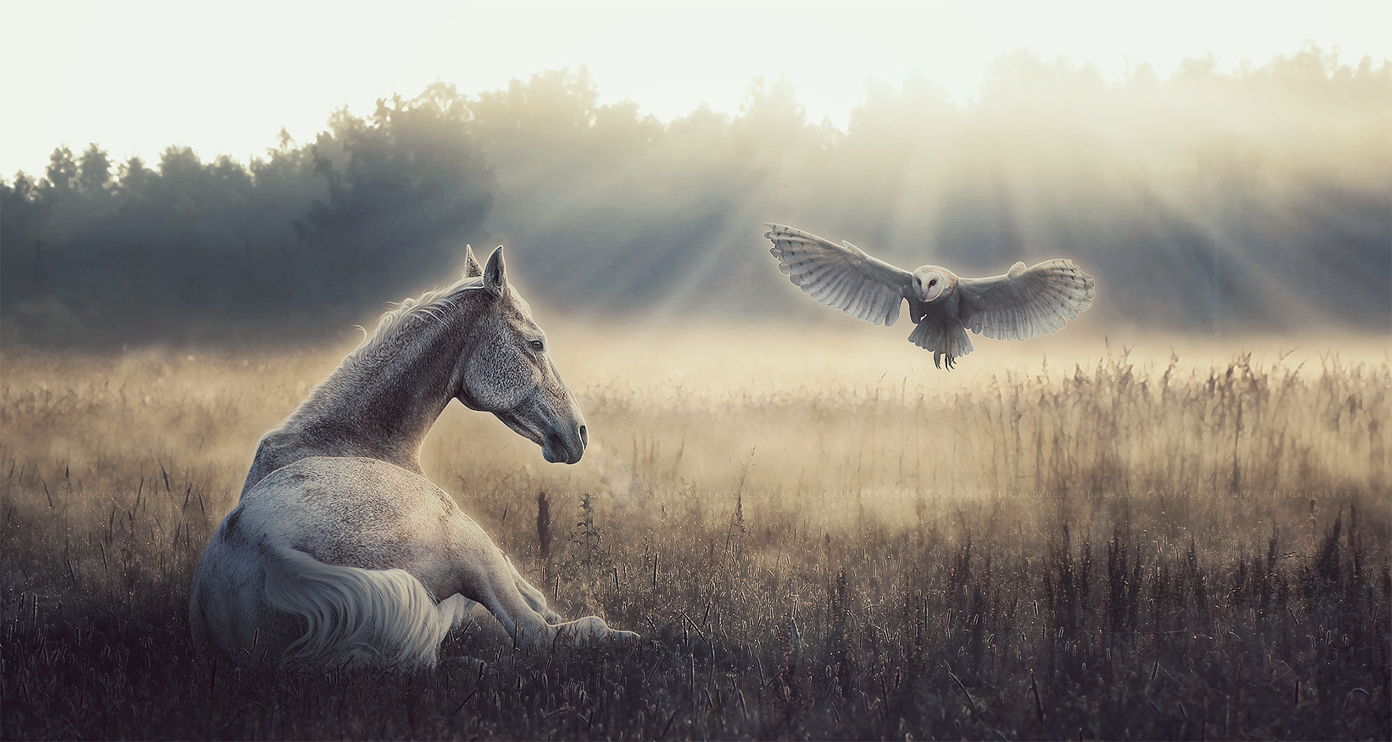 Лошадь и птица