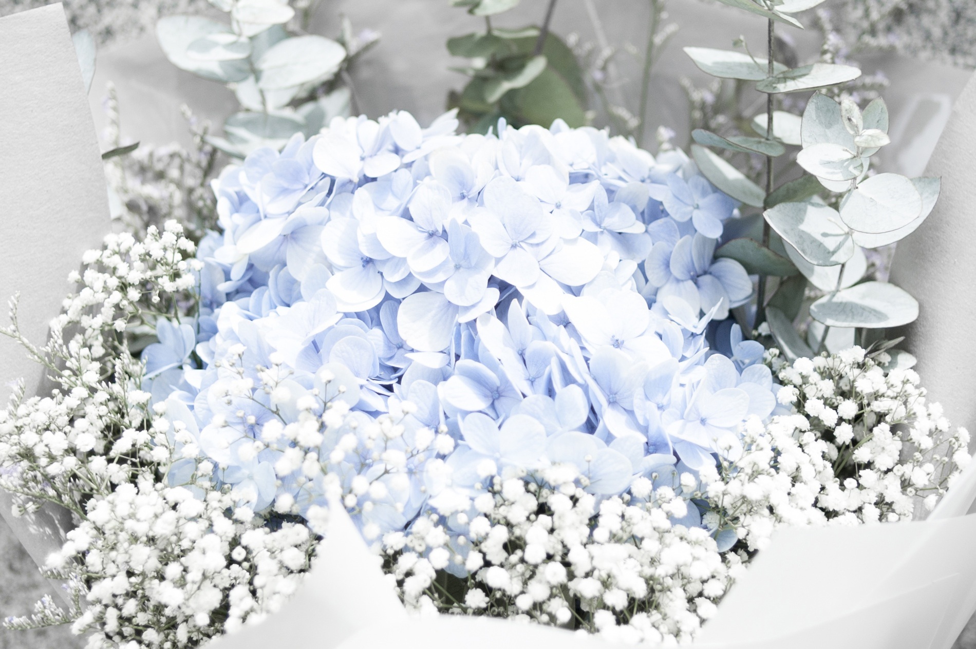 59077 Hintergrundbild herunterladen blumen, strauß, bouquet, zärtlichkeit - Bildschirmschoner und Bilder kostenlos