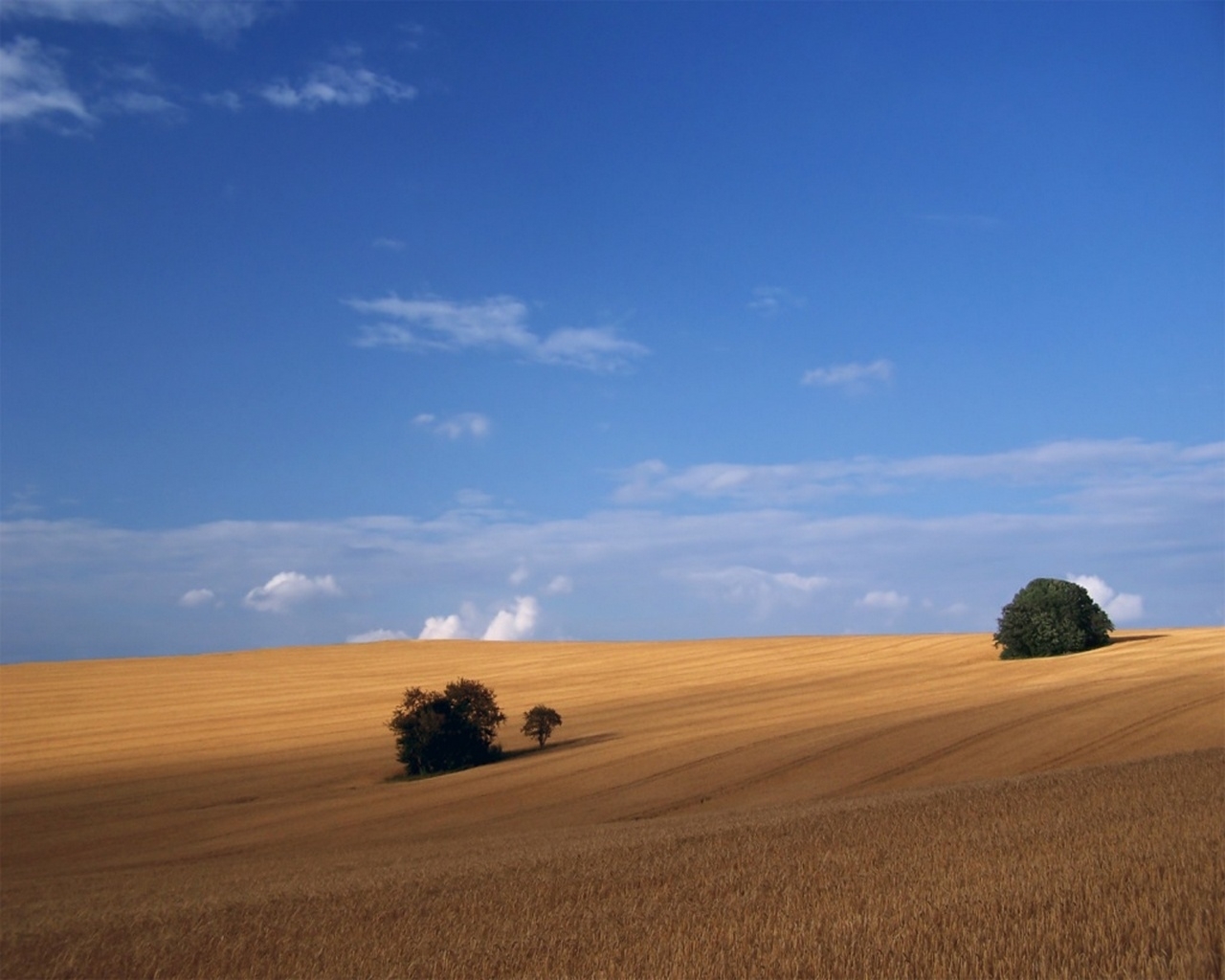 landscape, fields, blue