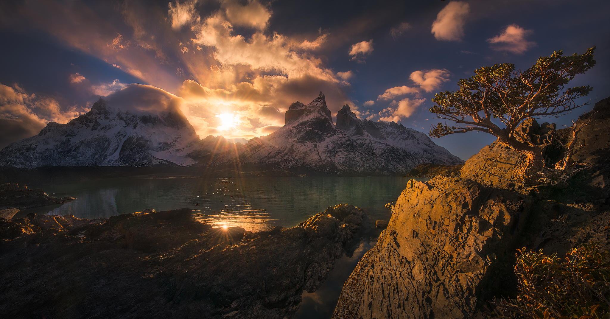 earth, torres del paine, mountain, nature, patagonia, sunbeam, tree, mountains