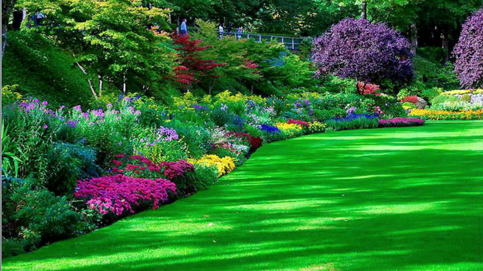 garden, park, man made Full HD