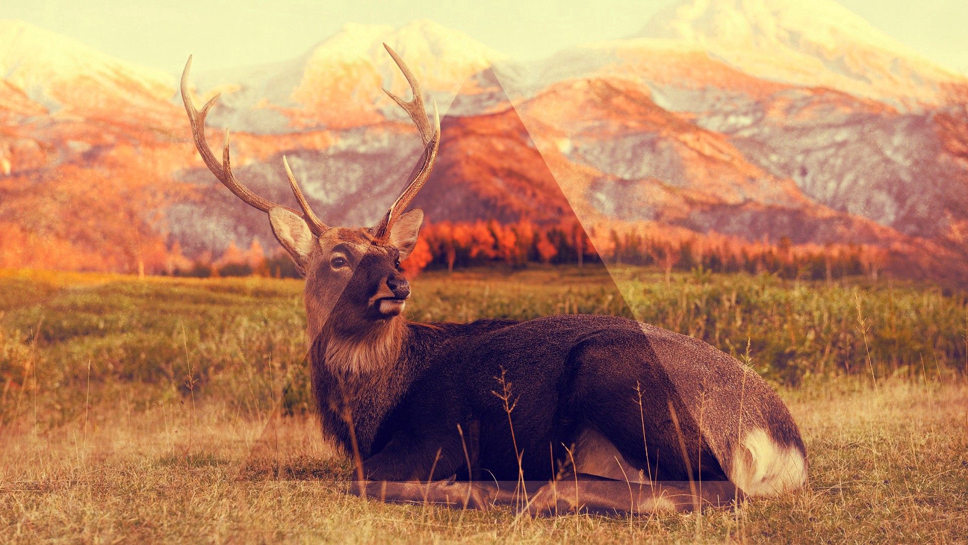 Download mobile wallpaper Lie, Animals, To Lie Down, Grass, Mountains, Deer, Triangle for free.