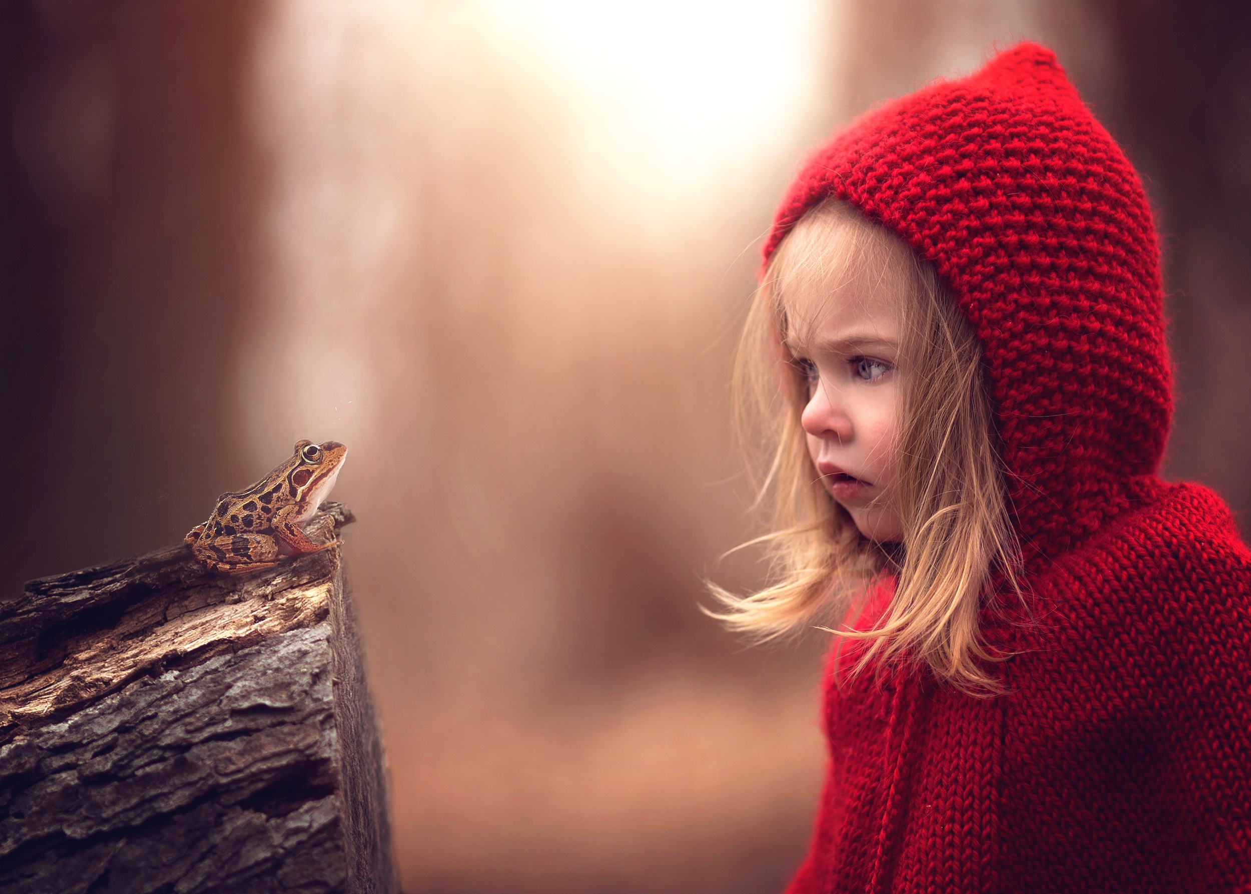 photography, child, amphibian, blonde, blue eyes, depth of field, frog, hood, little girl