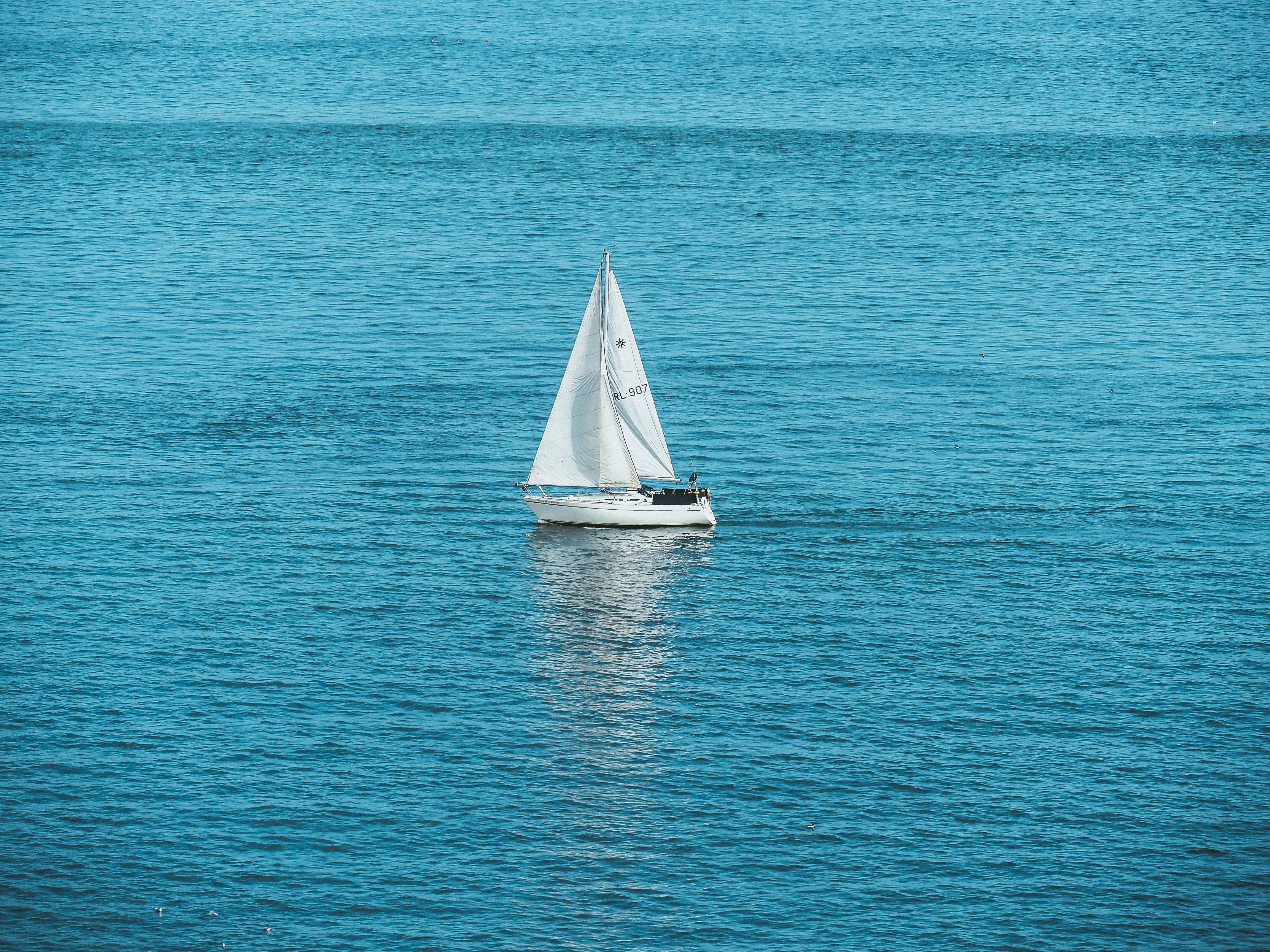 120290 Hintergrundbild herunterladen wasser, sea, verschiedenes, sonstige, ein boot, boot, segelboot, sailfish - Bildschirmschoner und Bilder kostenlos