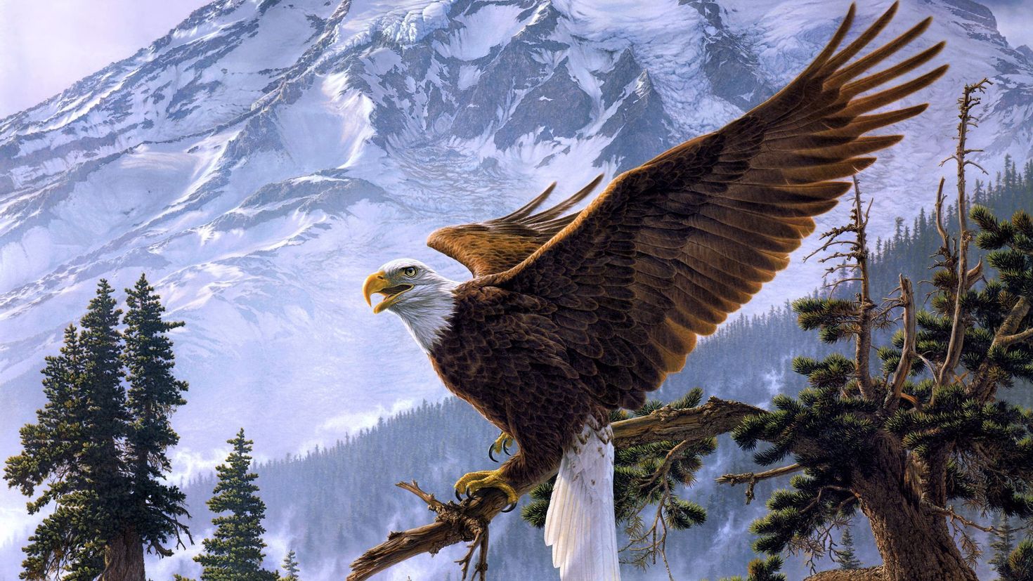 Eagle bird. Белоголовый Орлан в горах. Птицы в горах. Красивый Орел. Пейзажи с орлами.