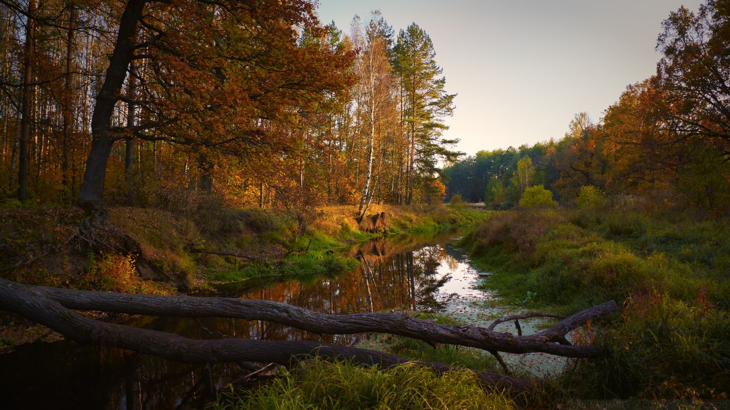 осень лес река
