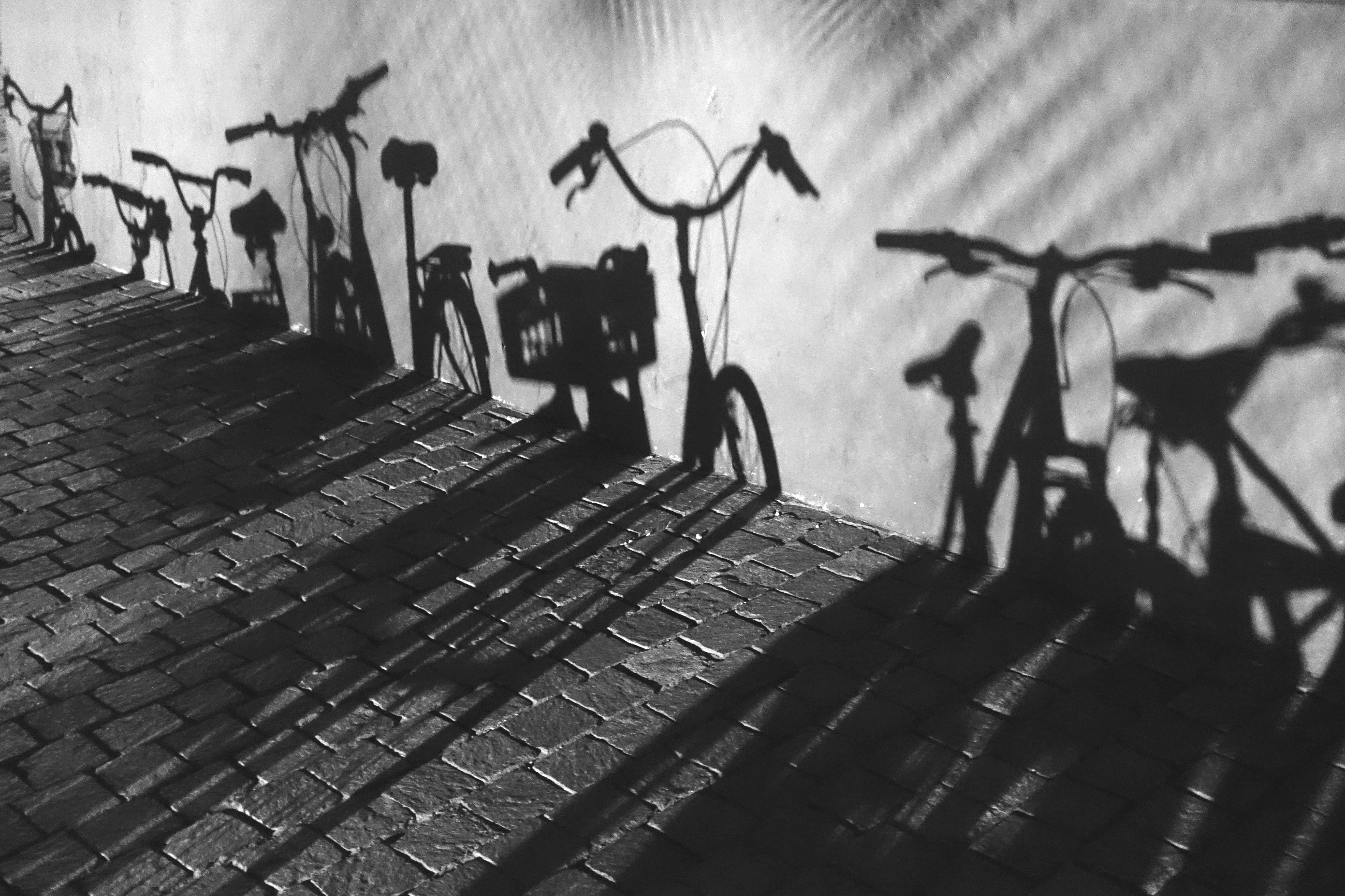 photography, shadows, bicycle High Definition image