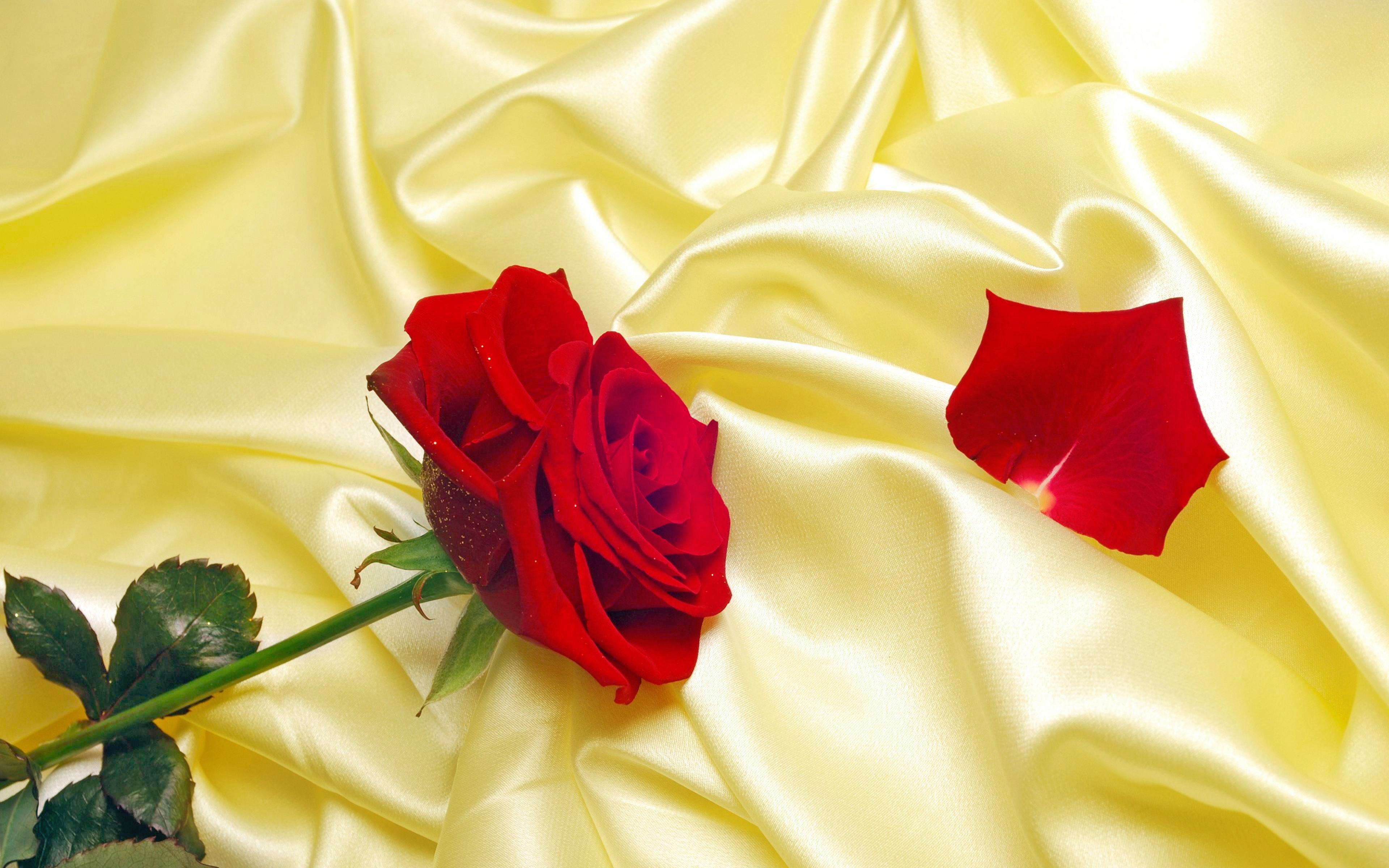 Розы на шелковой ткани