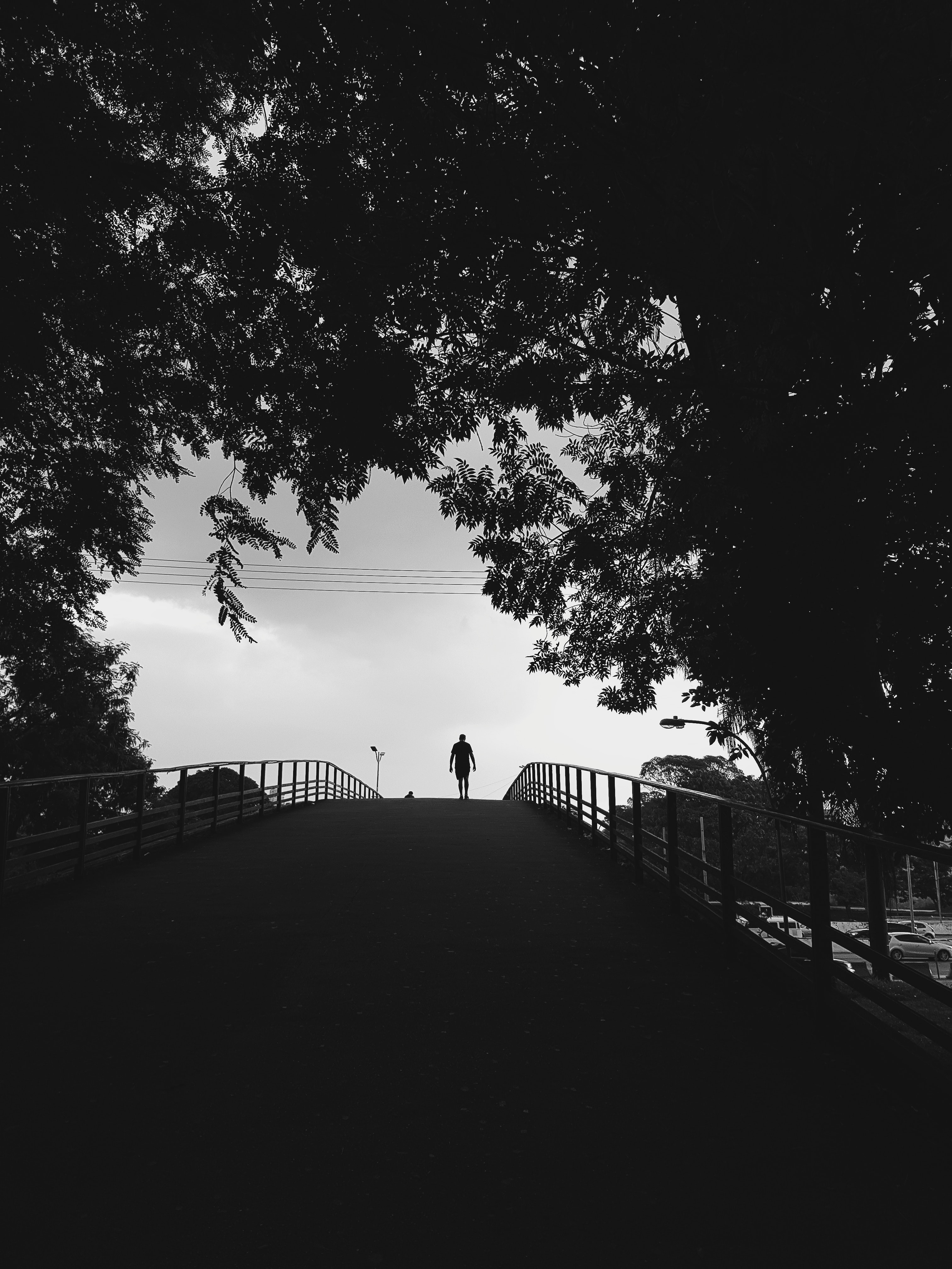 alone, trees, black, silhouette, stroll, bw, chb, loneliness, lonely 4K for PC