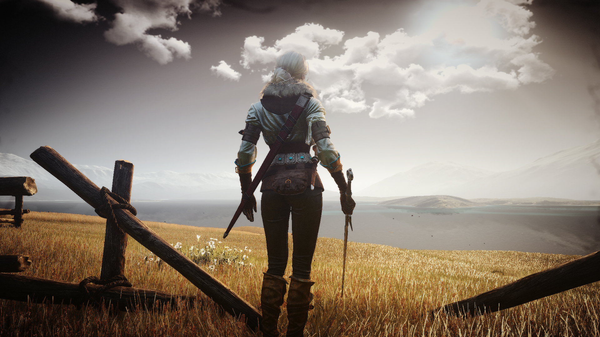 Download the witcher 3 for pc фото 99