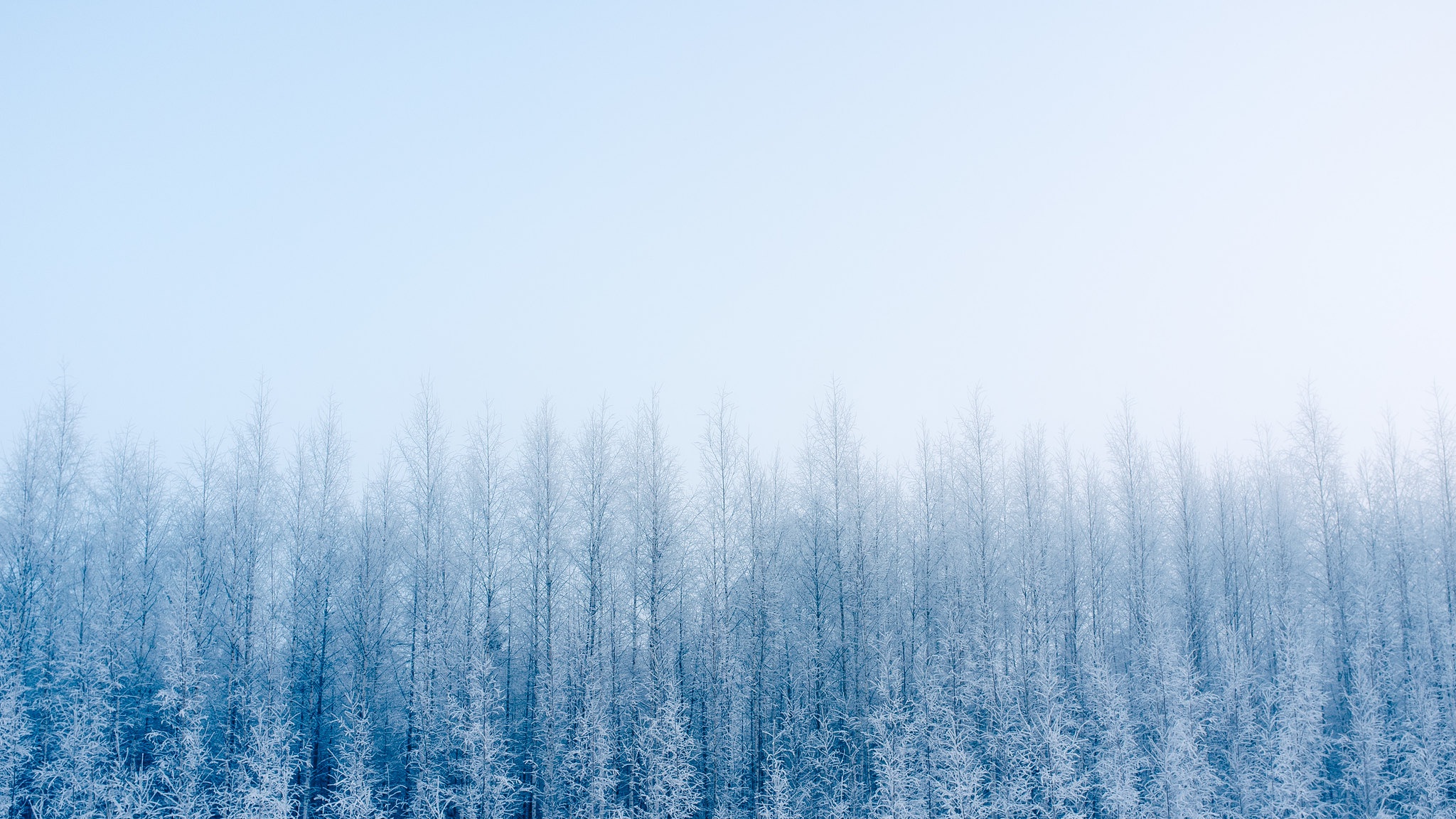 Free Winter Mac Wallpapers iMac Wallpapers Retina MacBook Pro