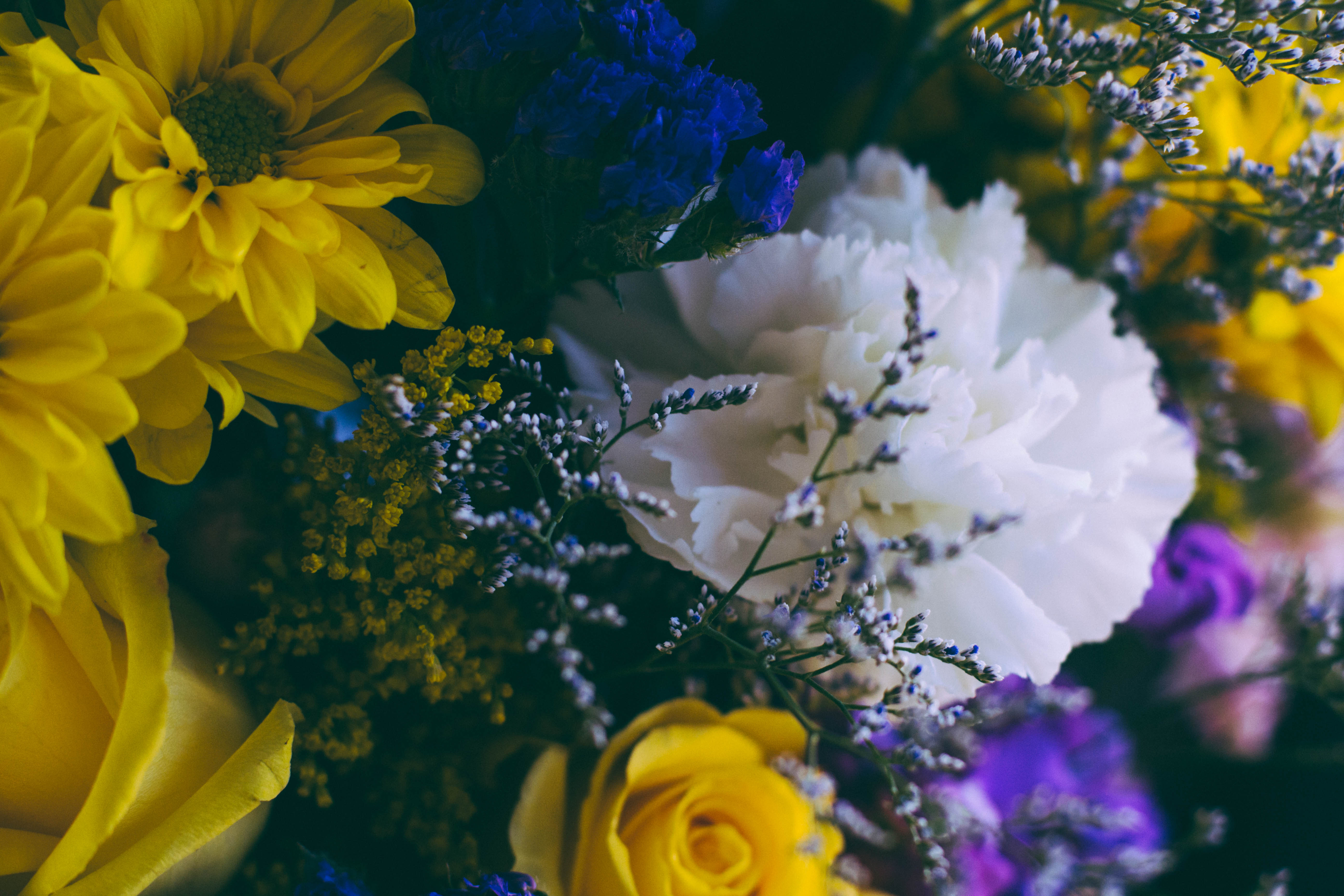 composition, flowers, multicolored, motley, bouquet