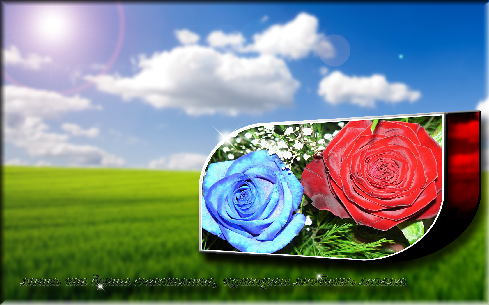 161241 Bildschirmschoner und Hintergrundbilder Blumen auf Ihrem Telefon. Laden Sie  Bilder kostenlos herunter