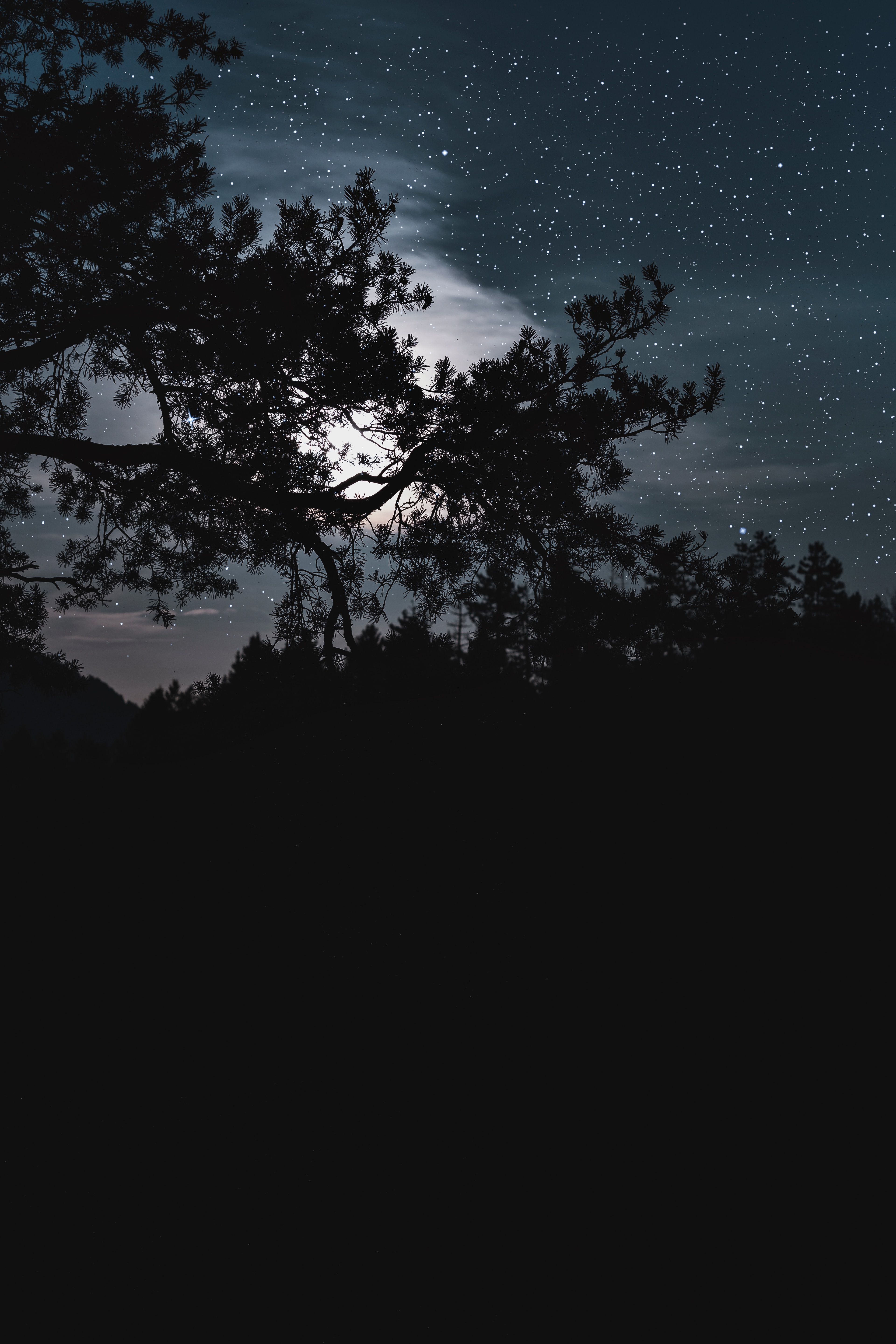 Stars, starry sky, night, black, HD phone wallpaper