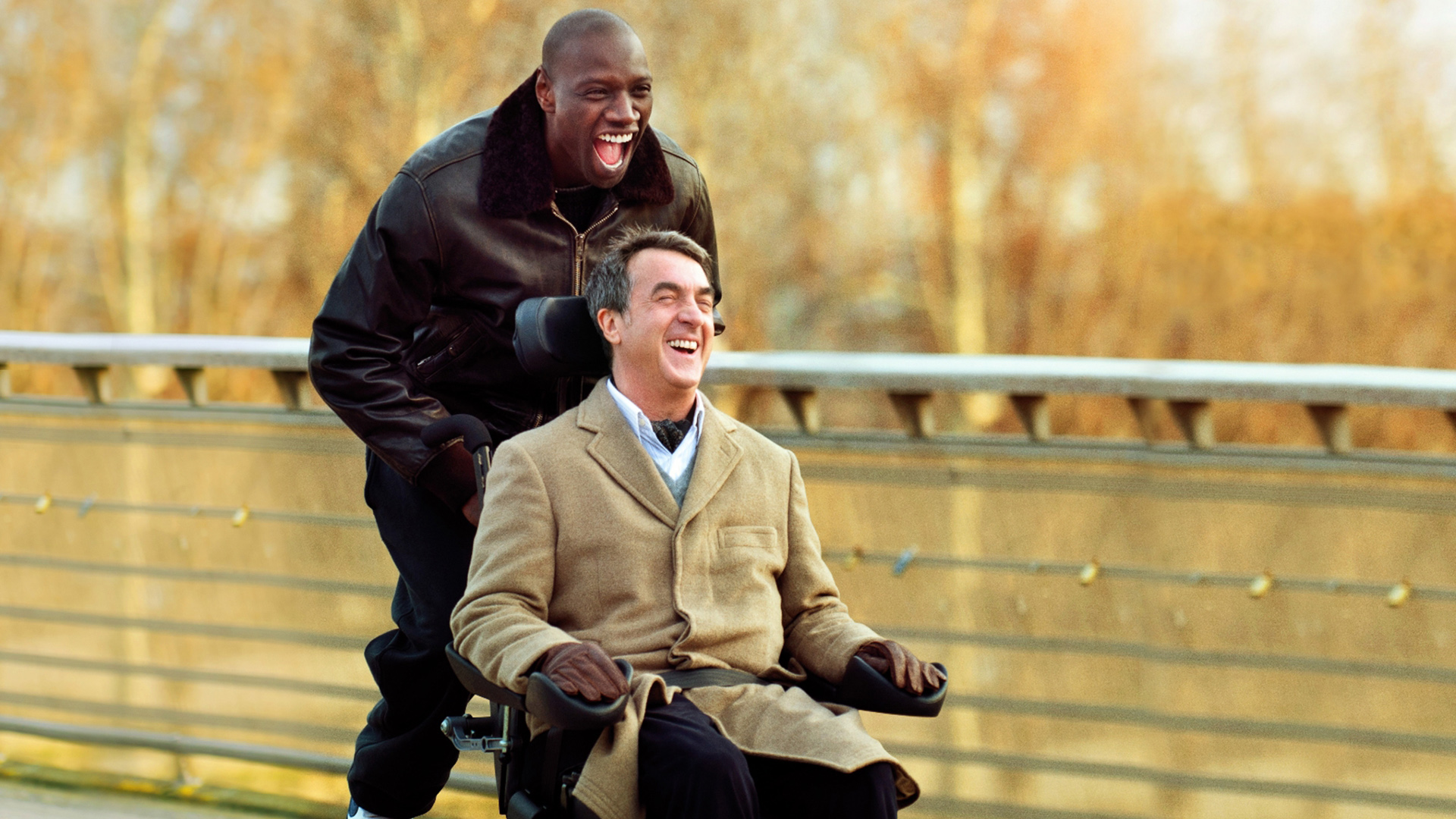 Негр и мужик в инвалидном кресле