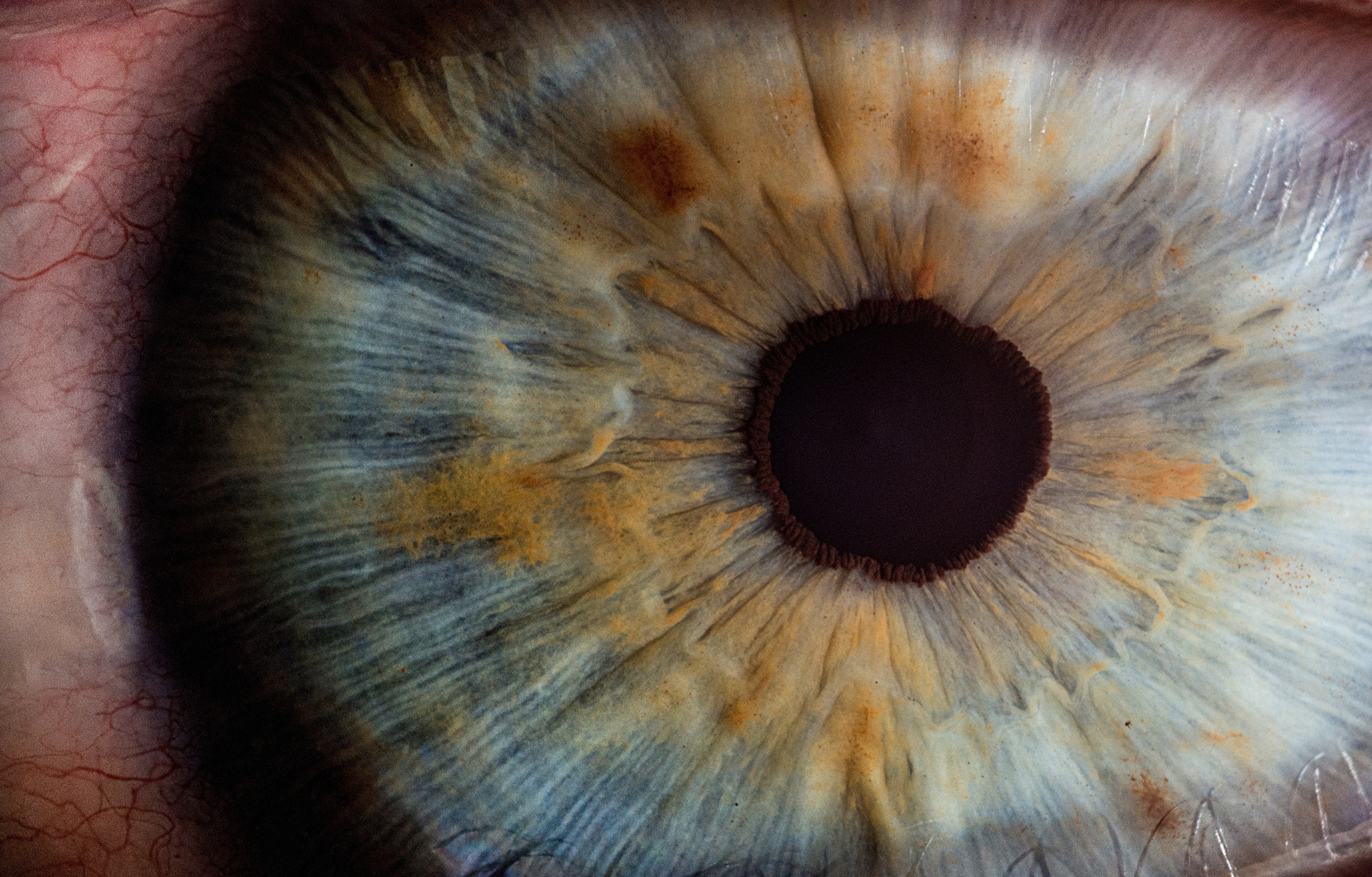 pupil, eye, macro, close up images