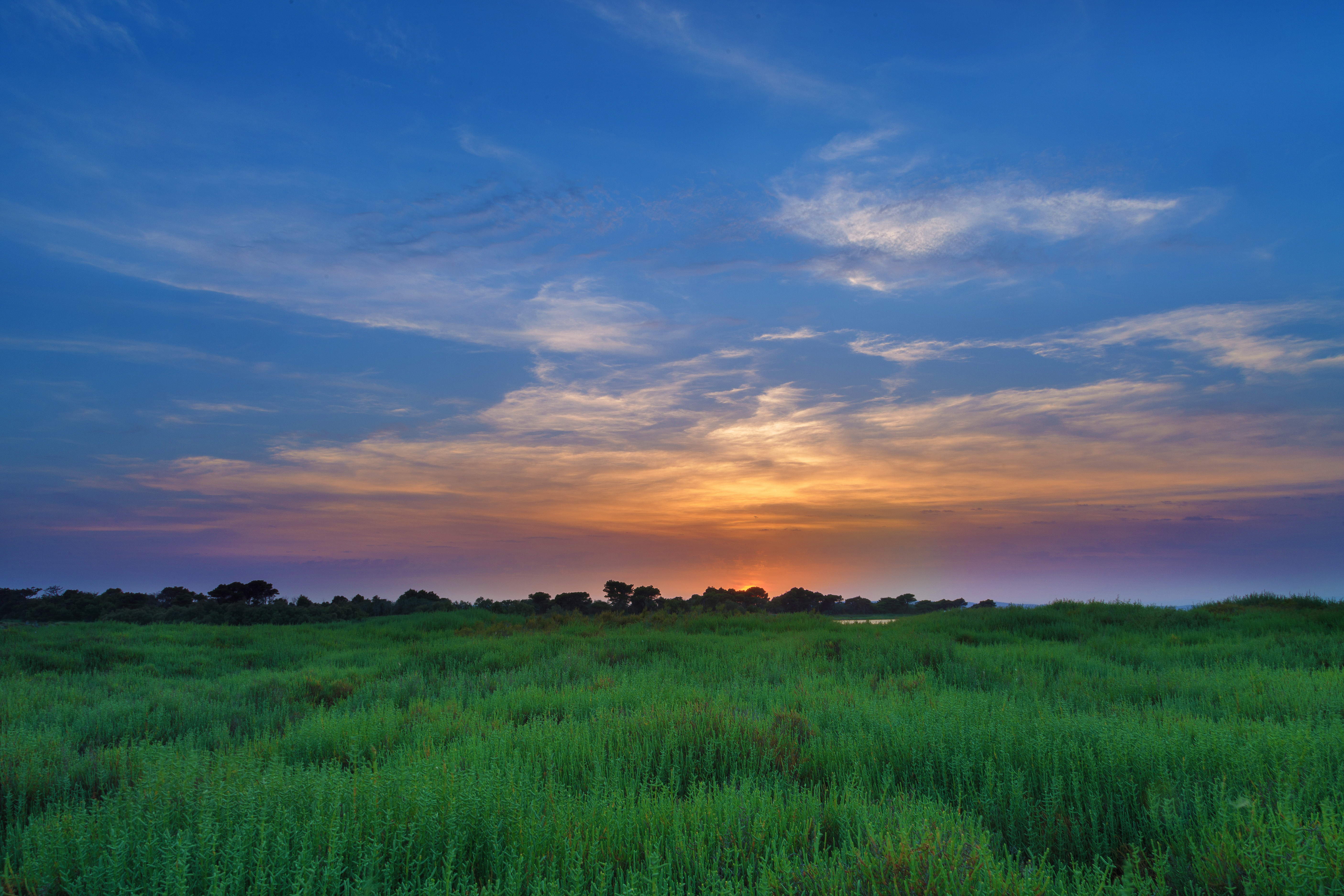 Download mobile wallpaper Grass, Soleros, Field, Clouds, Horizon, Sky, Nature, Sunset for free.