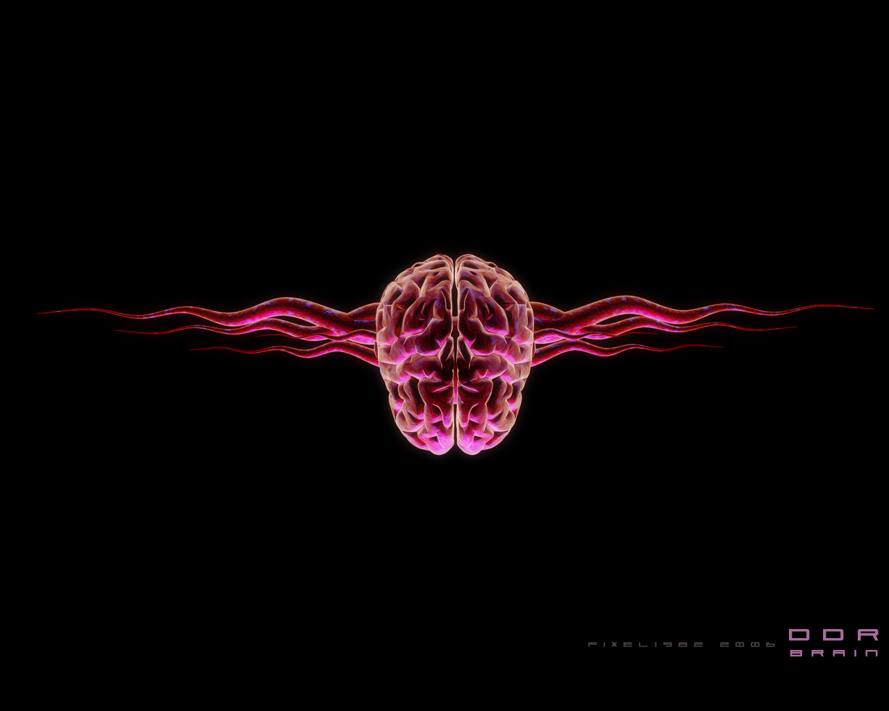 vertical wallpaper brain, anatomy, artistic