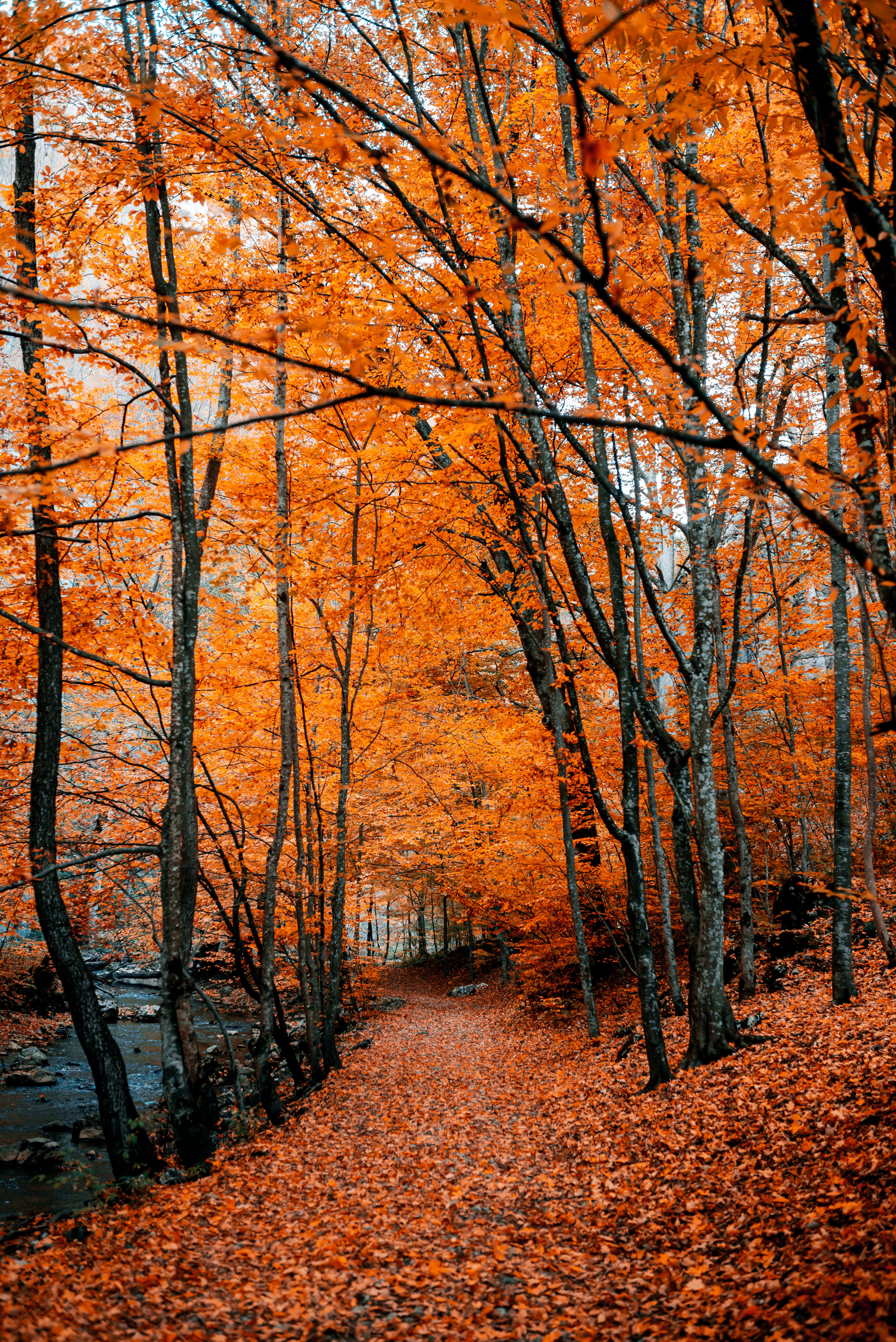 collection of best Autumn HD wallpaper