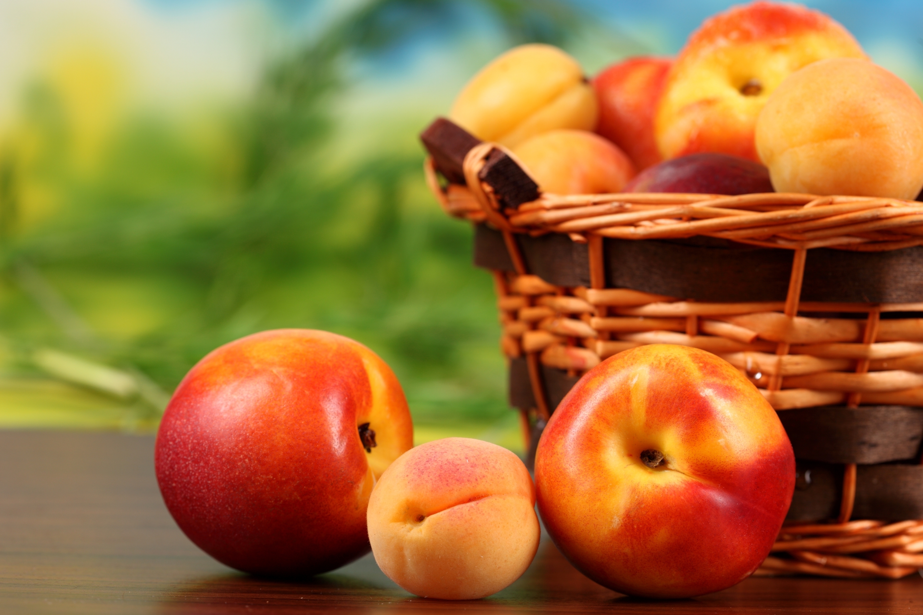 fruits, food, peaches, basket, apricots, nectarine for android