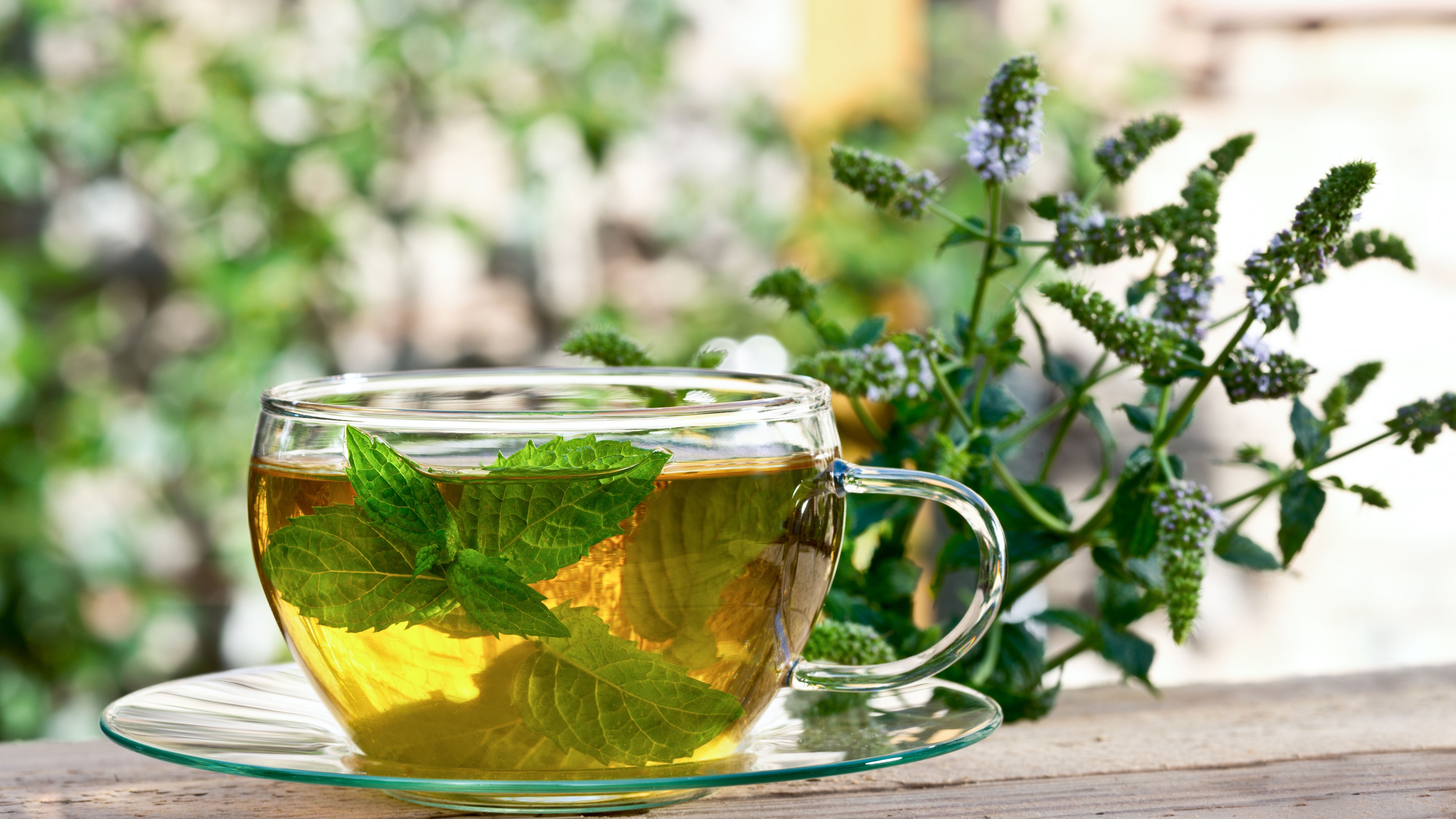 Зеленый чай вечером. Мята перечная чай. Травяной чай "мята".