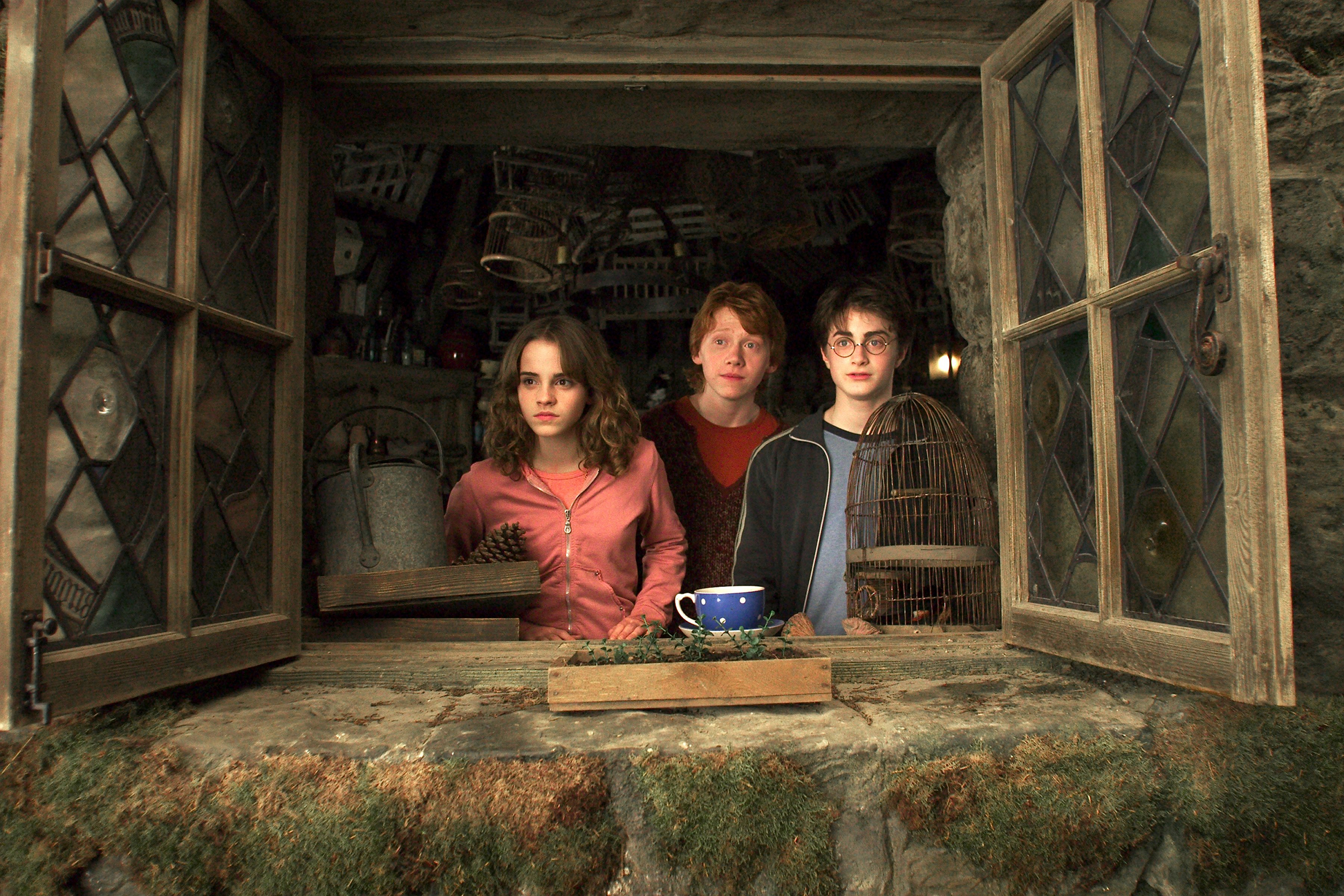 hermione granger, harry potter, movie, harry potter and the prisoner of azkaban, ron weasley Desktop Wallpaper