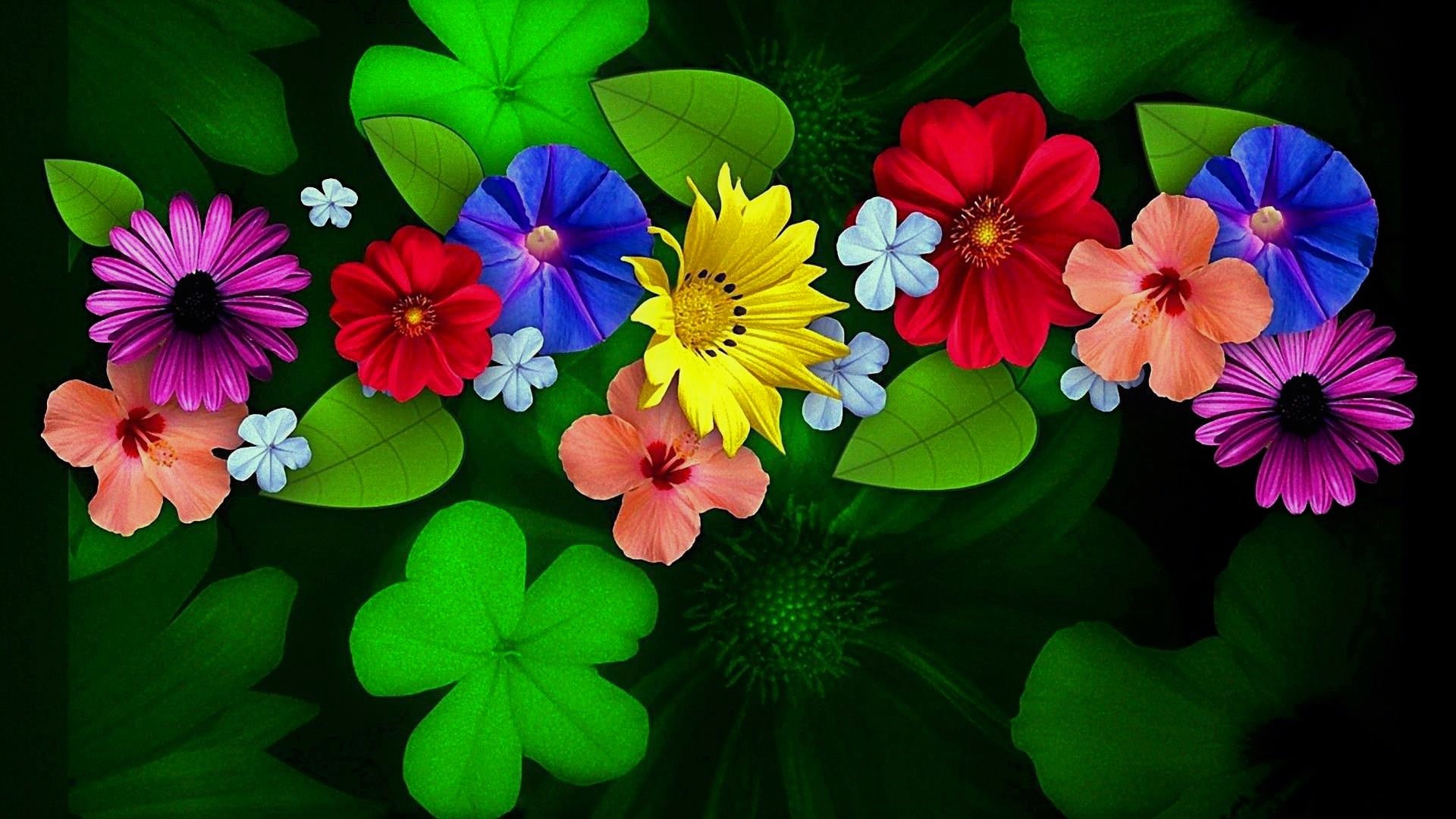 Hd Desktop Wallpaper Flowers Flower