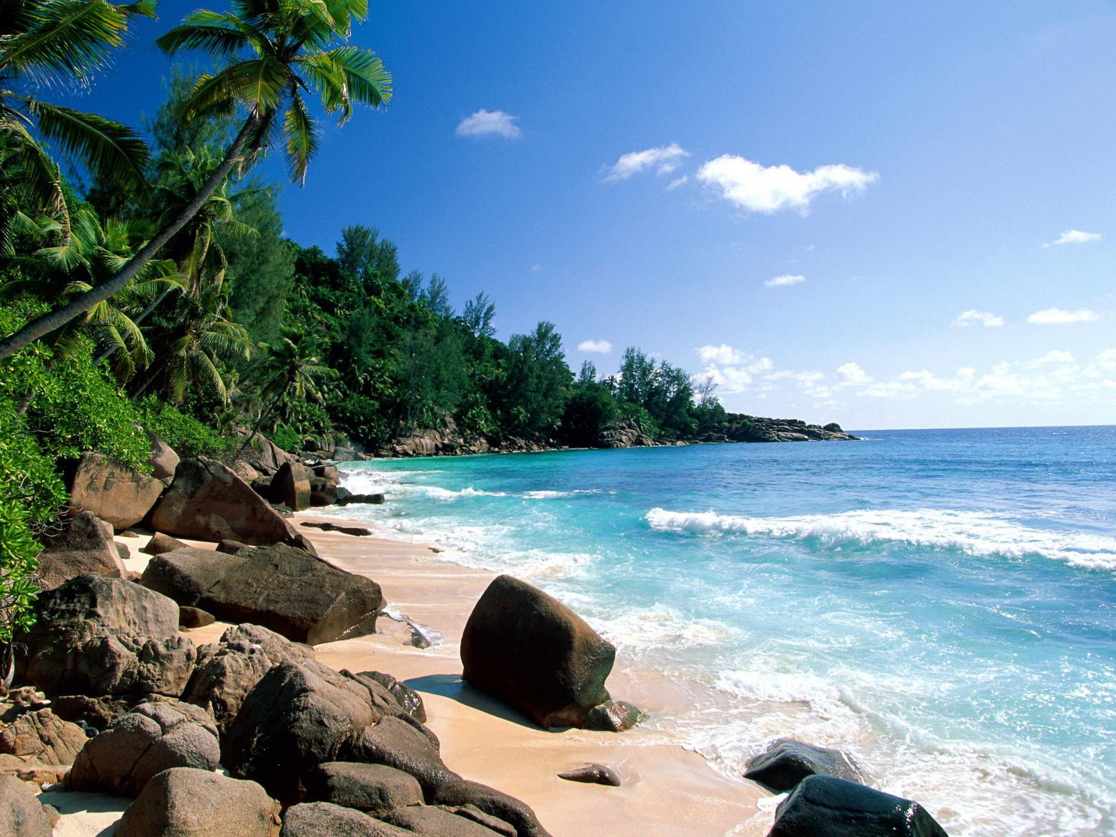 Free download wallpaper Water, Palms, Landscape, Sea, Beach on your PC desktop