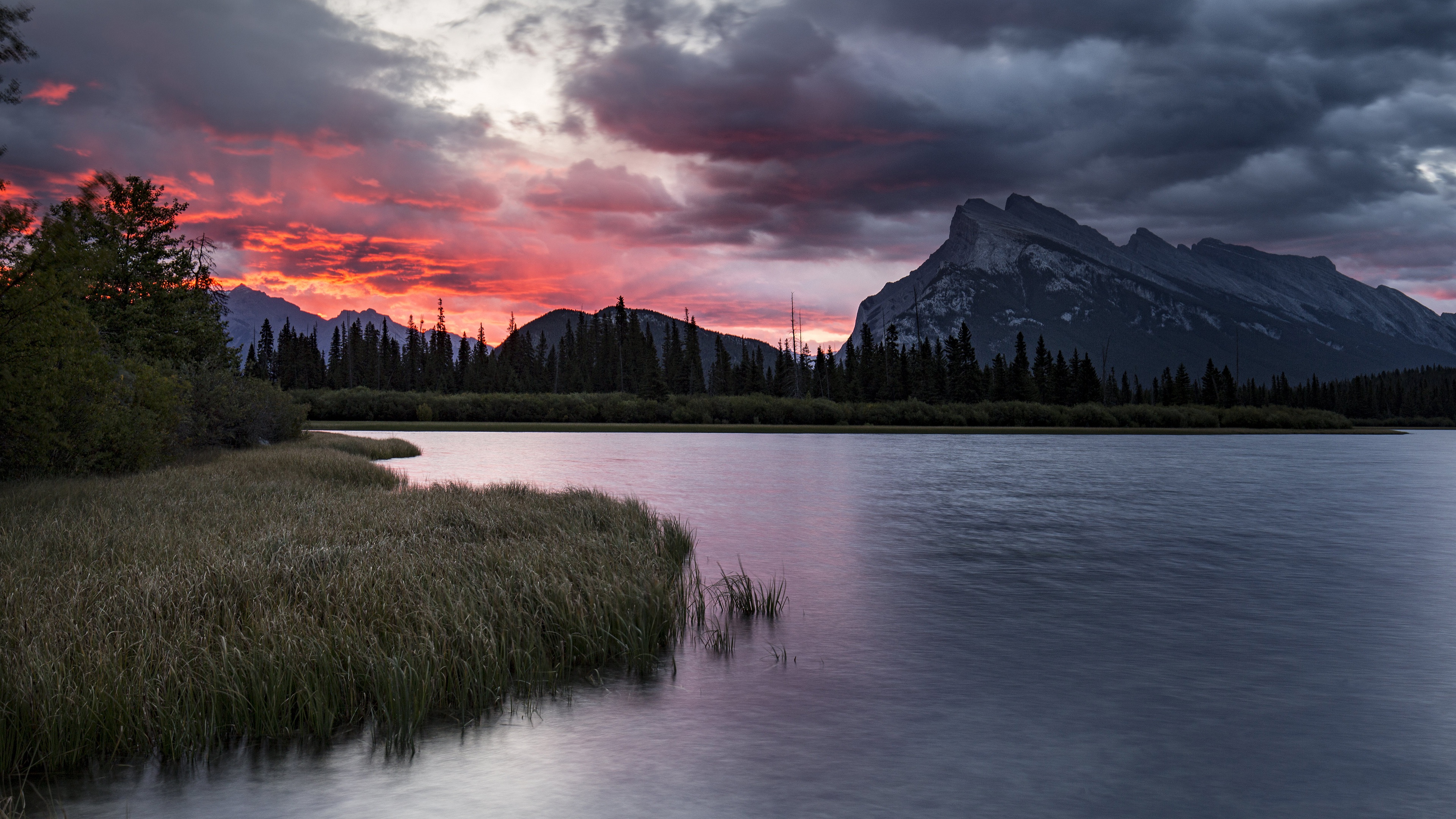 spruce, earth, lake, alberta, canada, cloud, forest, mountain, sky, sunset, lakes 8K