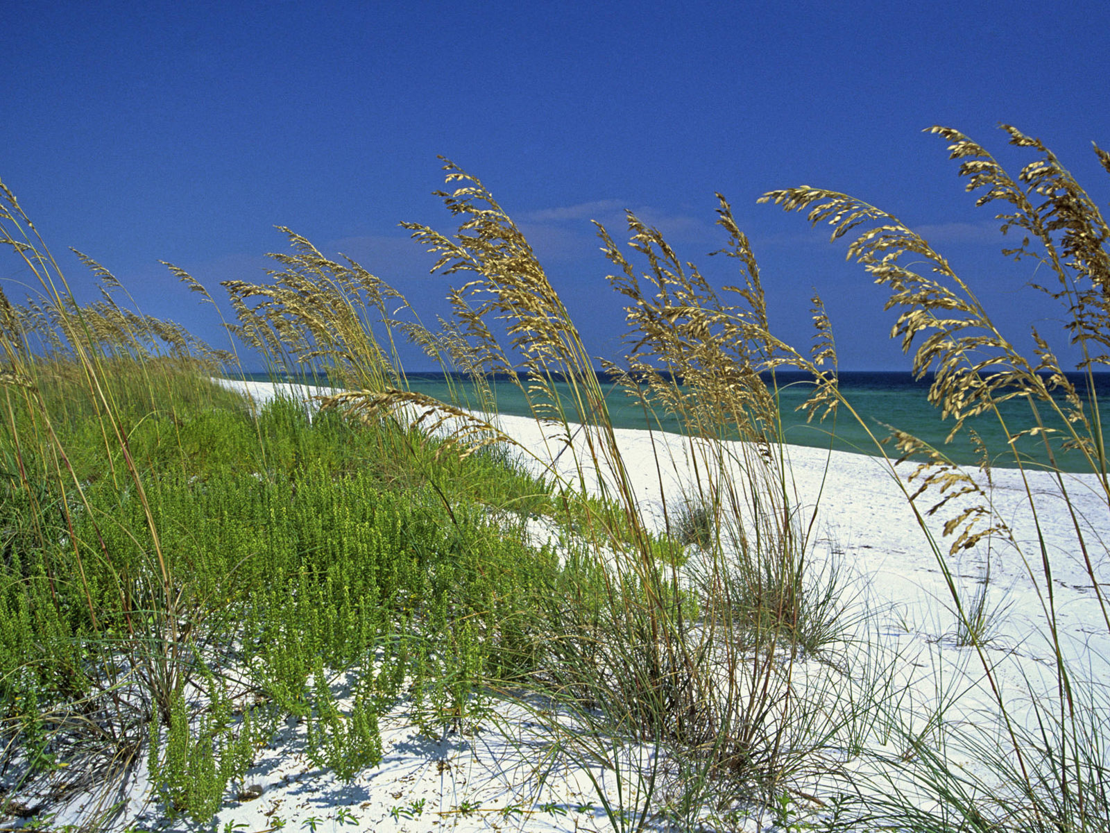 1076355 Hintergrundbild herunterladen strand, sand, erde/natur, gras, ozean - Bildschirmschoner und Bilder kostenlos