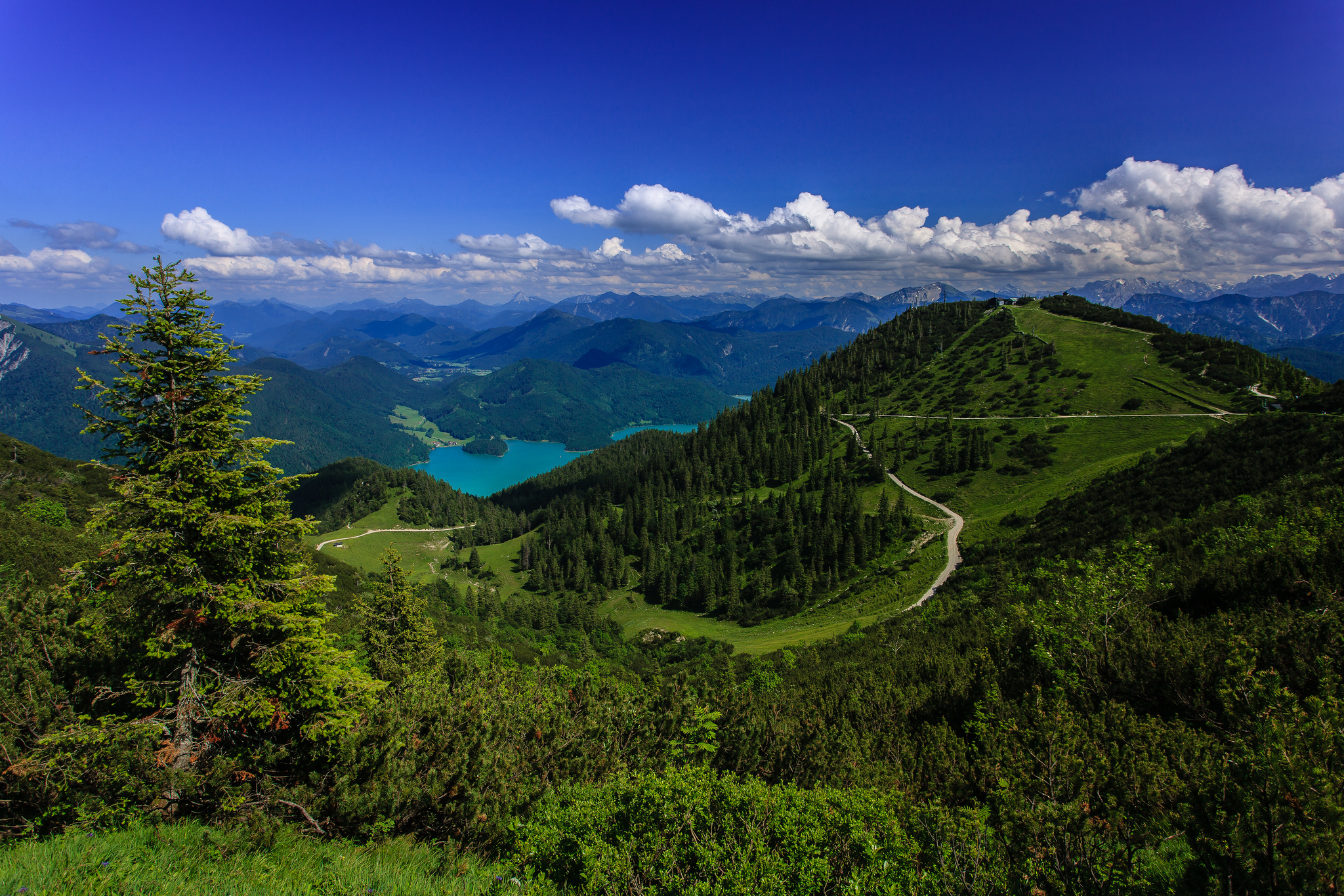 earth, alps mountain, bavarian alps, cloud, forest, germany, lake, mountain, panorama, mountains Aesthetic wallpaper