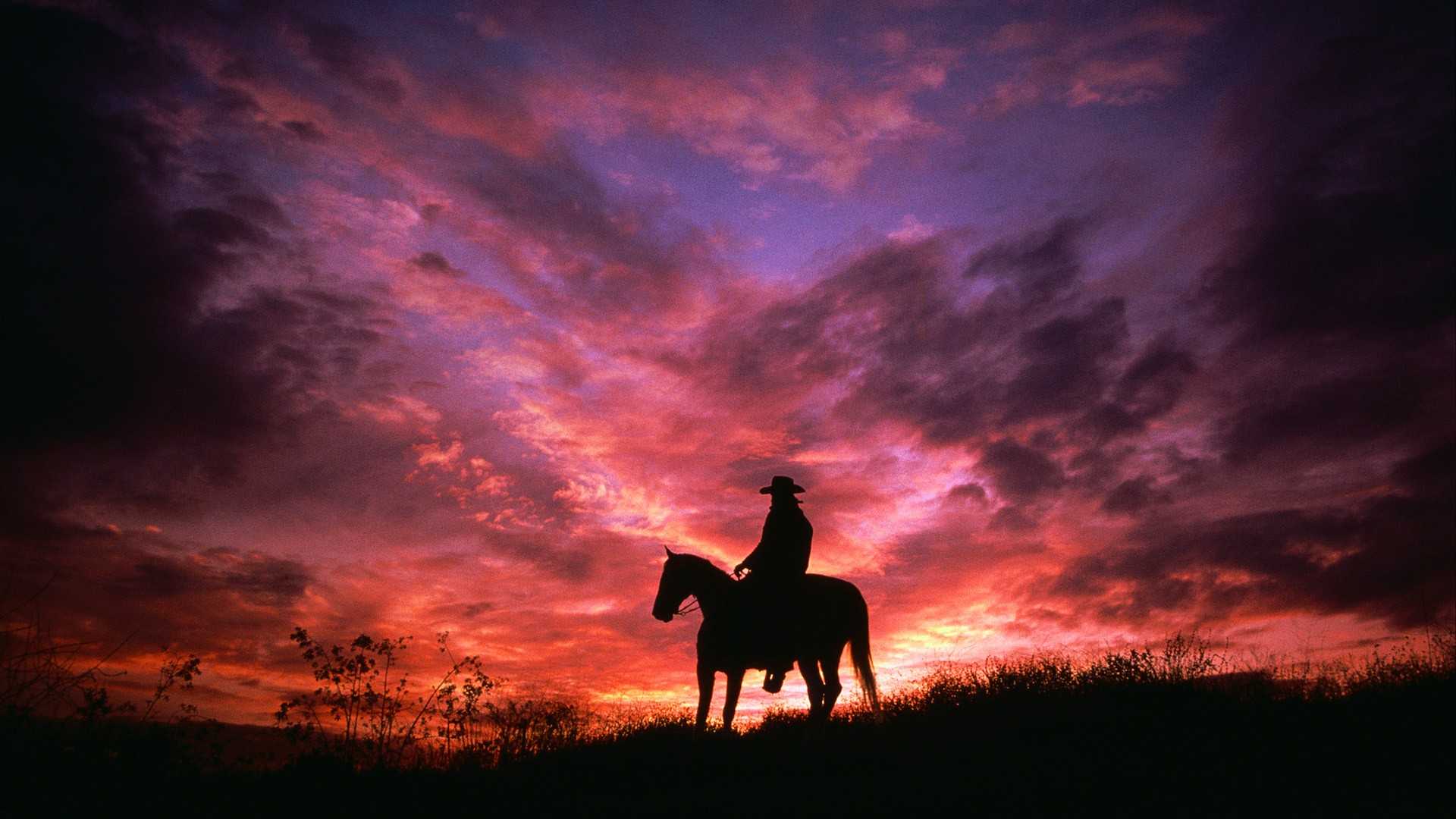 736110 télécharger l'image photographie, cow boy, cheval, rose, pourpre, silhouette, ciel, coucher de soleil - fonds d'écran et économiseurs d'écran gratuits