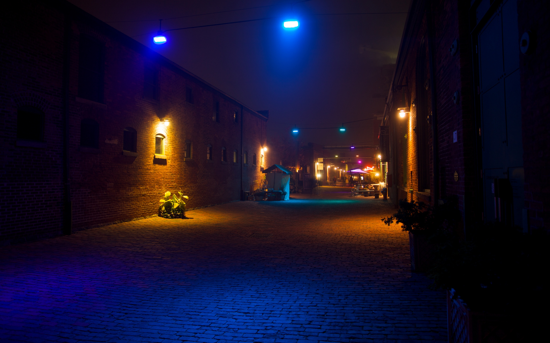 Городу нужен свет. Ночная улица. Ночная улица с фонарями. Ночная неоновая улица. Двор ночью.