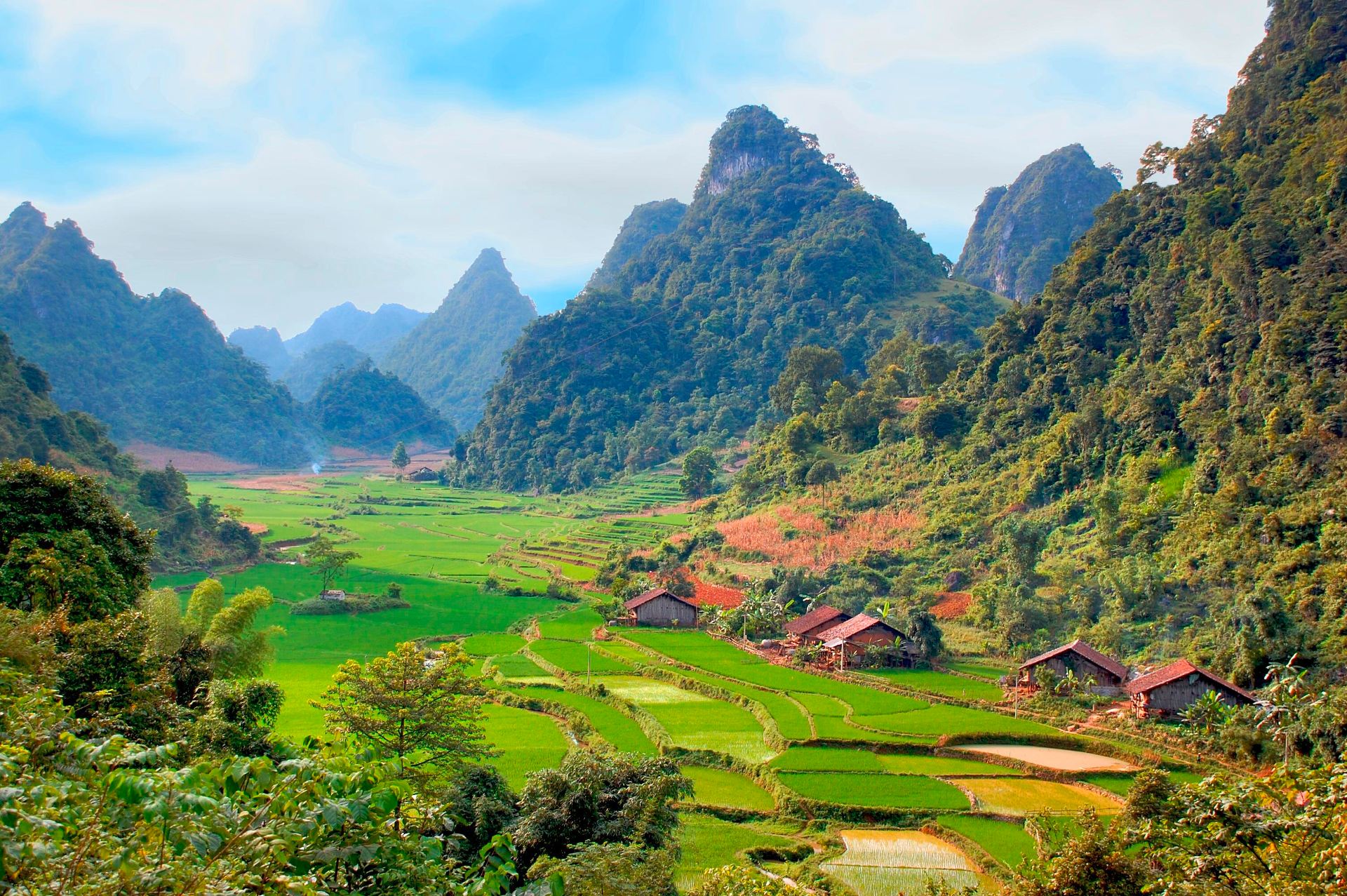 forest, man made, rice terrace, earth, landscape, mountain, vietnam, village