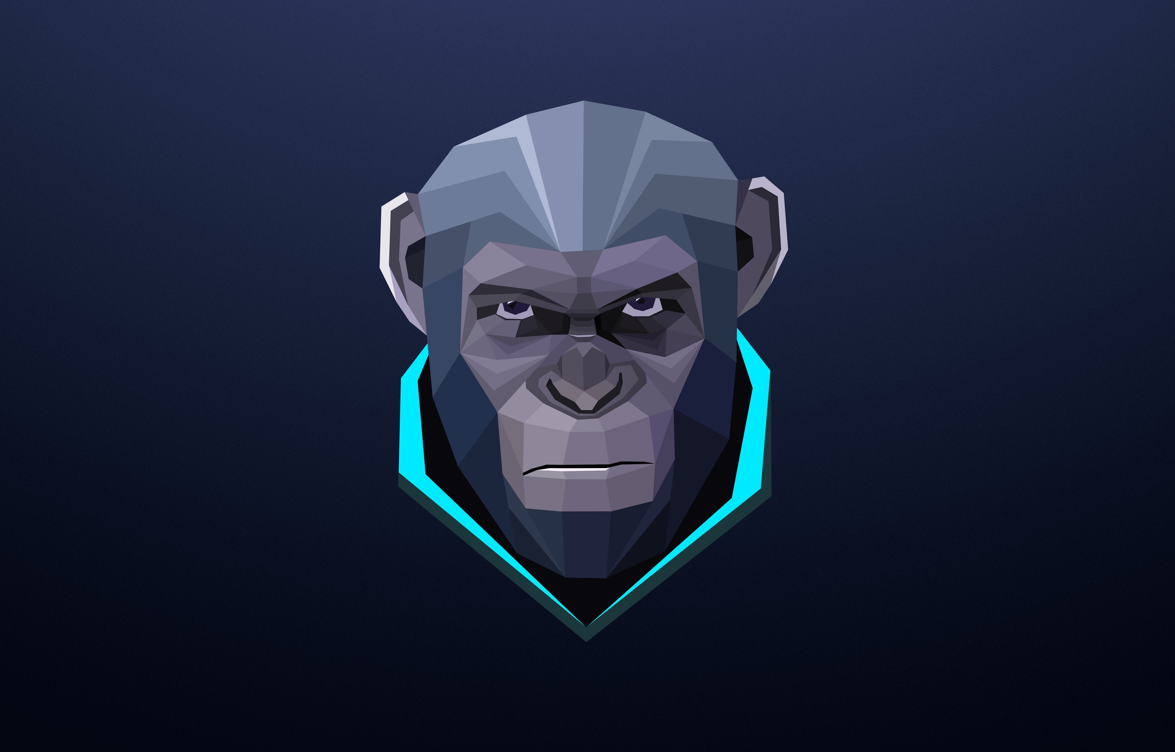 Full HD abstract, facets, monkey, polygon